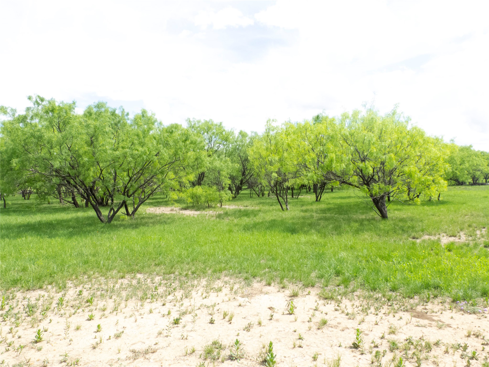 Tbd County Road 205 No City TX 76823
