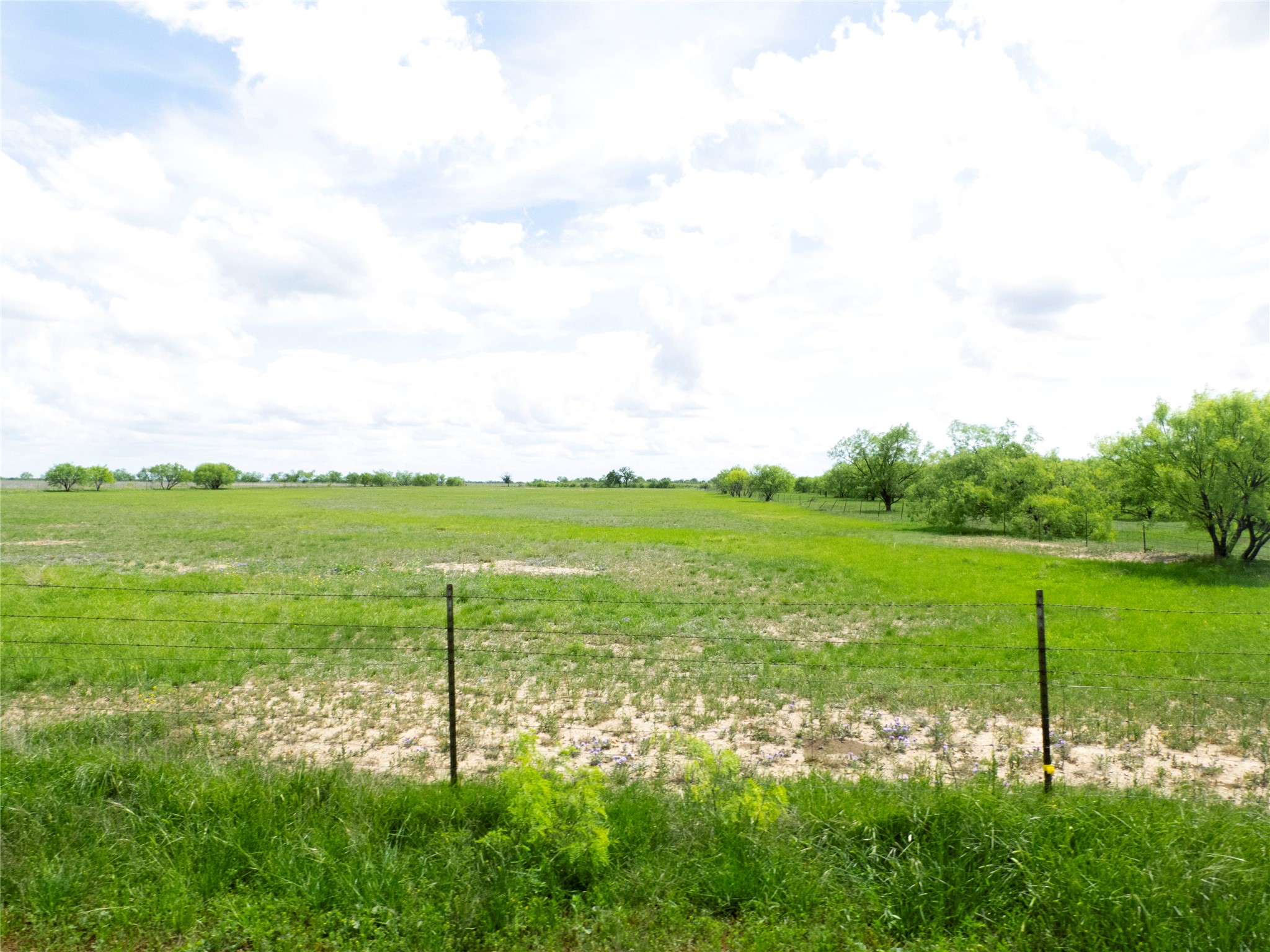 Tbd County Road 205 No City TX 76823