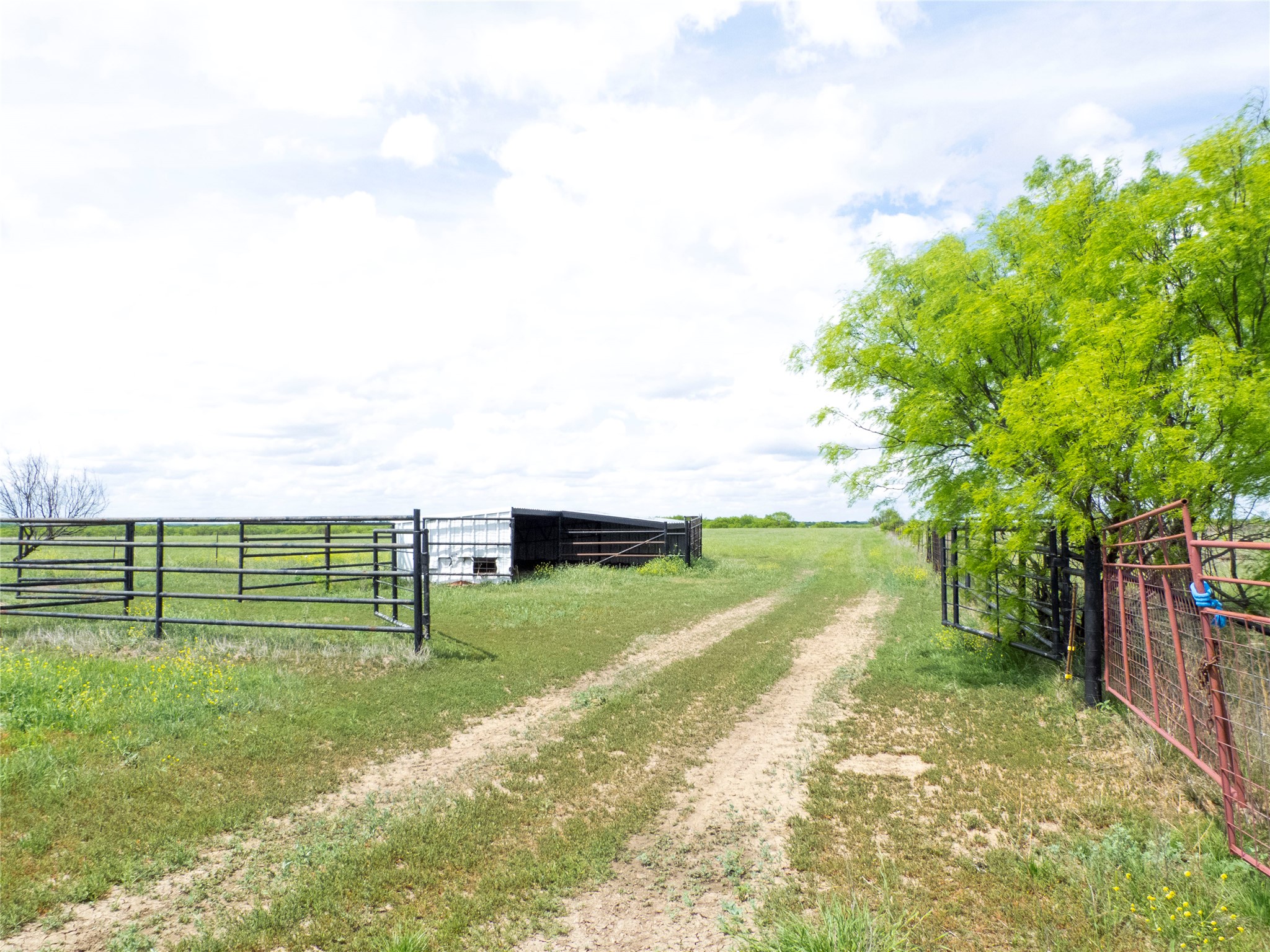 Tbd County Road 205 No City TX 76823
