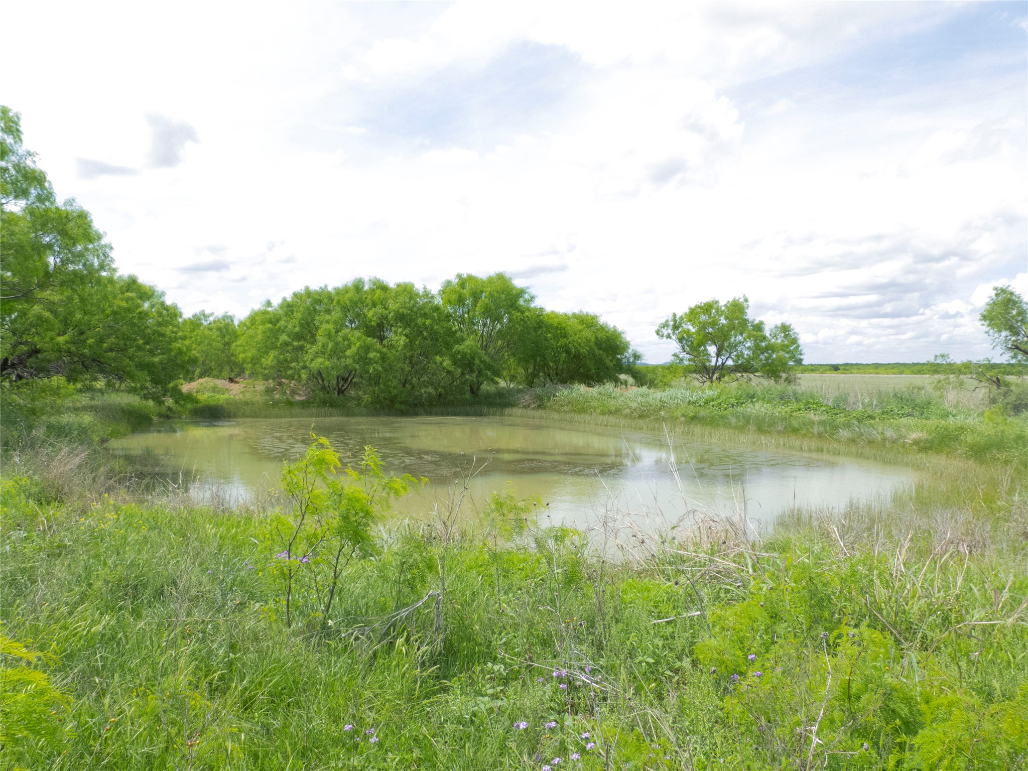 Tbd County Road 205 No City TX 76823