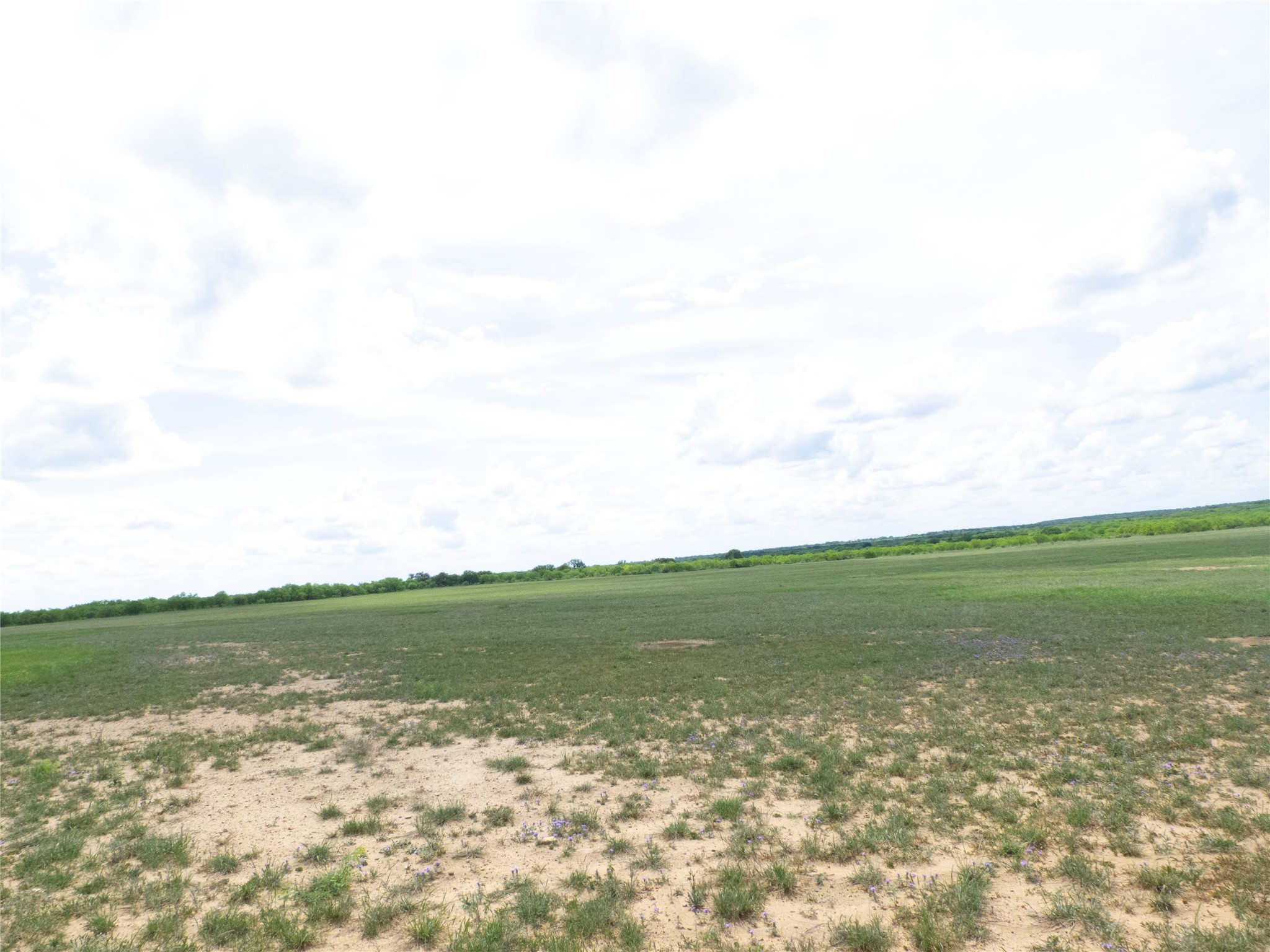Tbd County Road 205 No City TX 76823