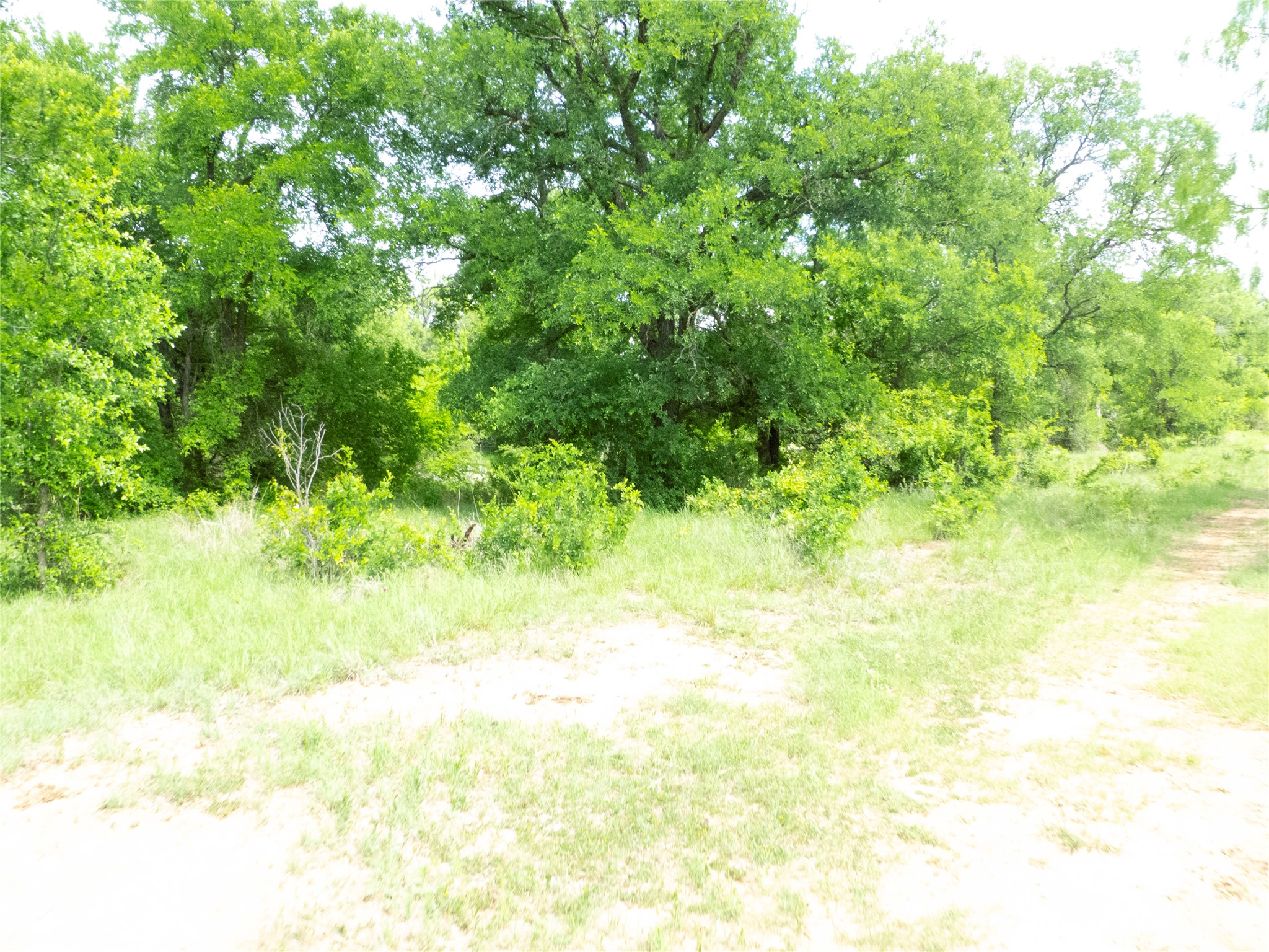 Tbd County Road 205 No City TX 76823