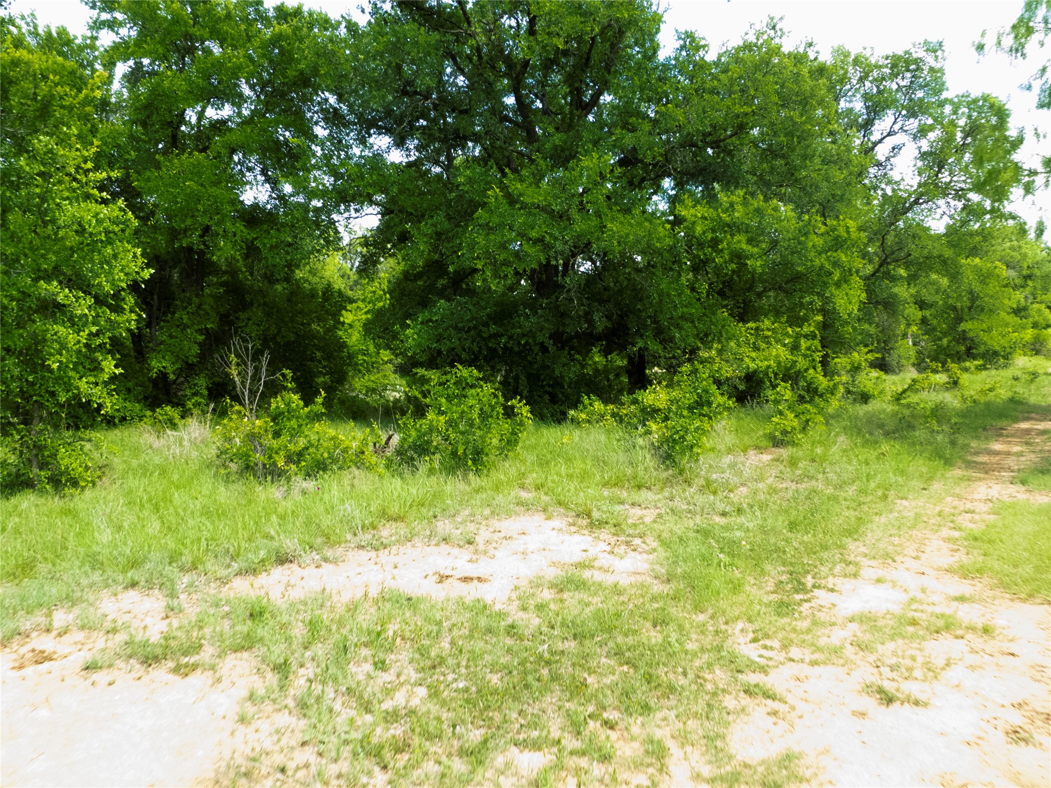 Tbd County Road 205 No City TX 76823