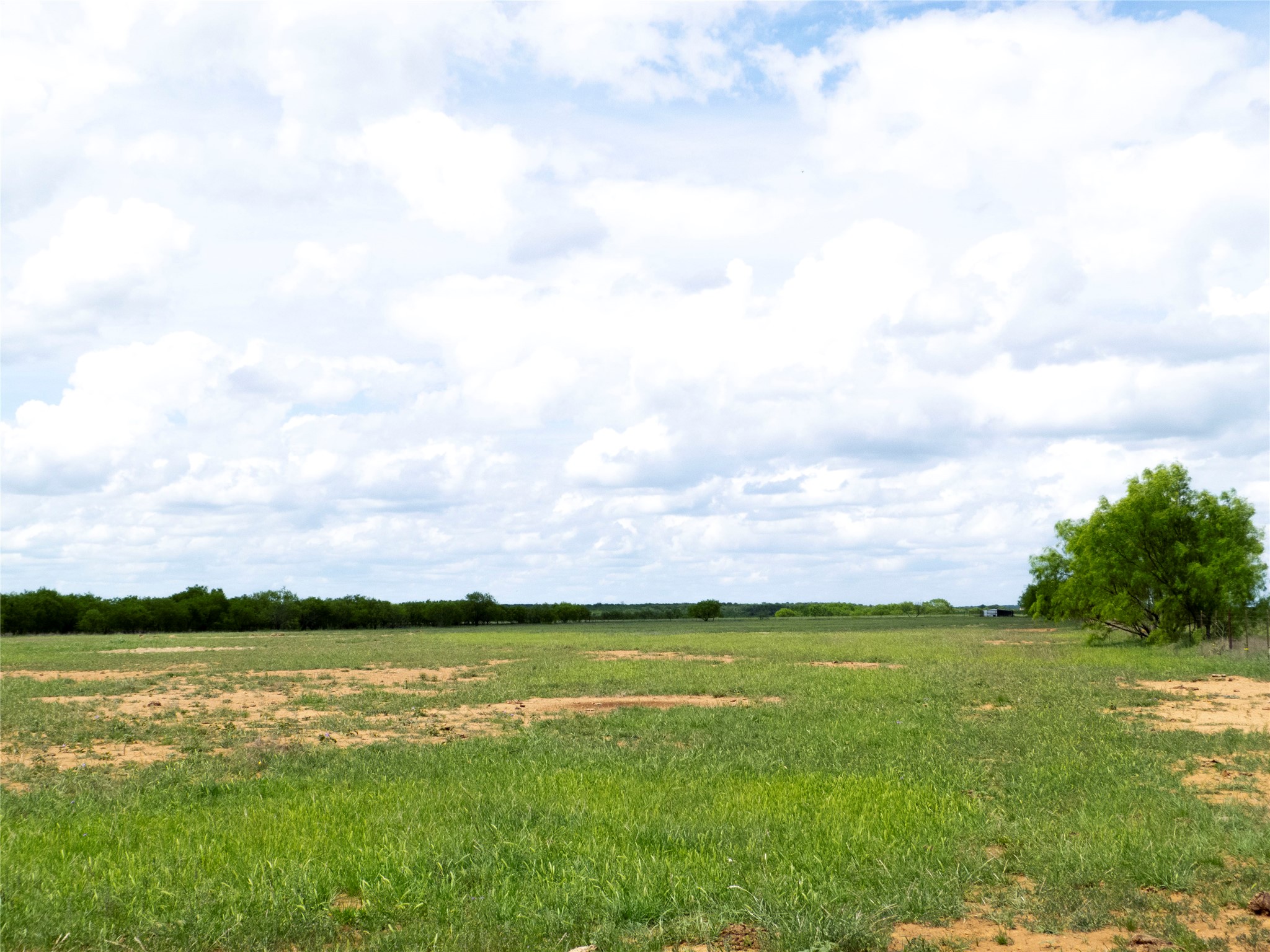 Tbd County Road 205 No City TX 76823