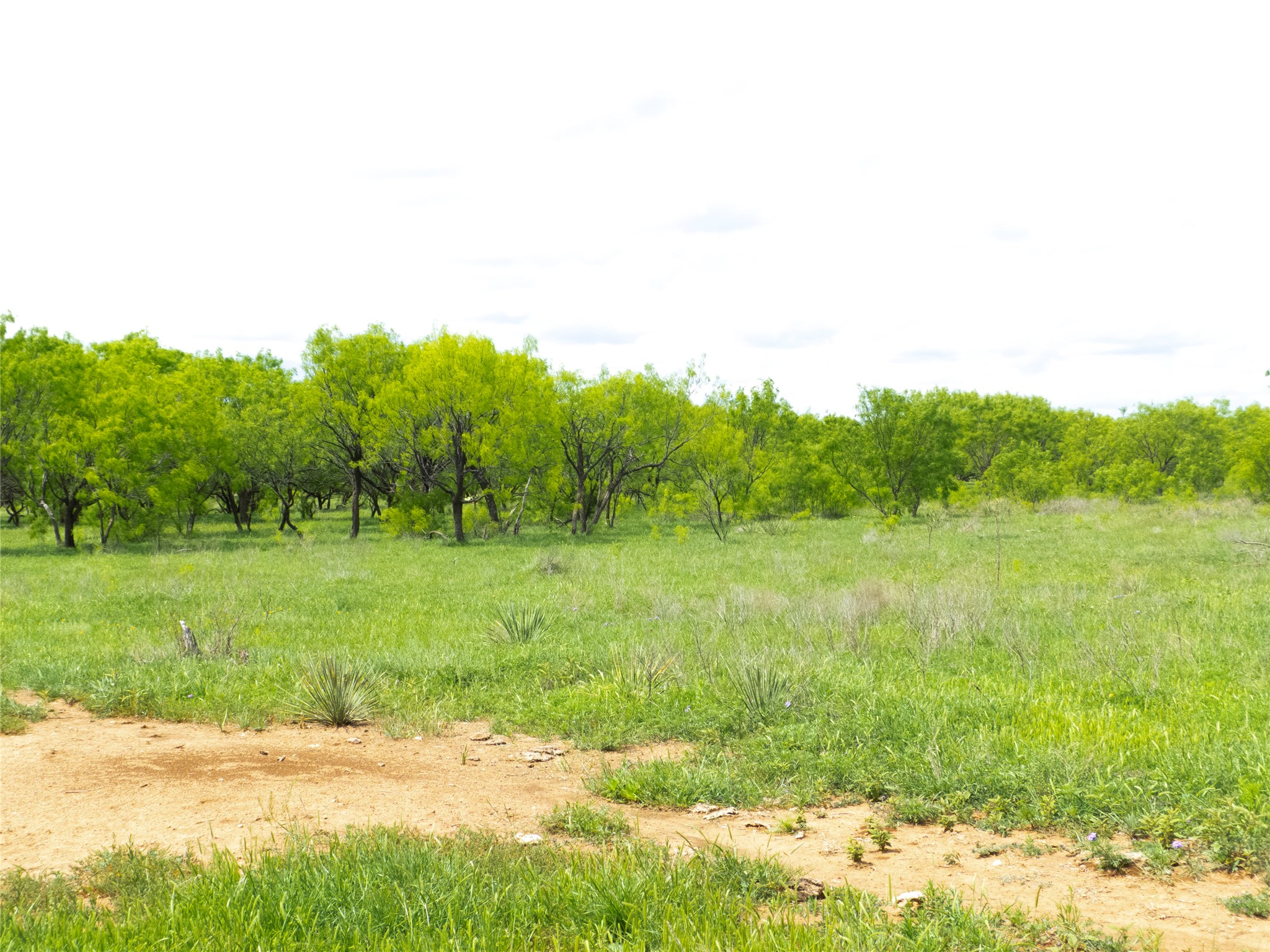 Tbd County Road 205 No City TX 76823