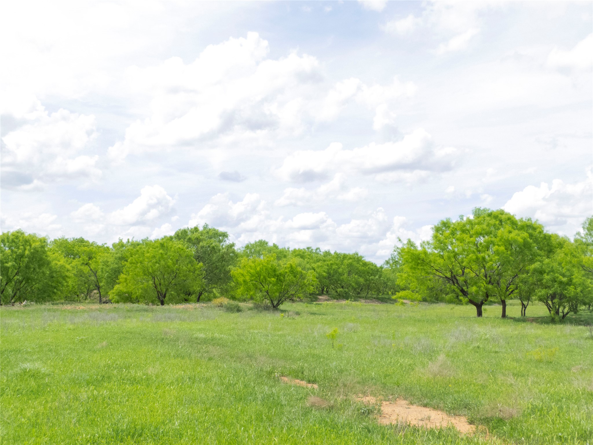 Tbd County Road 205 No City TX 76823