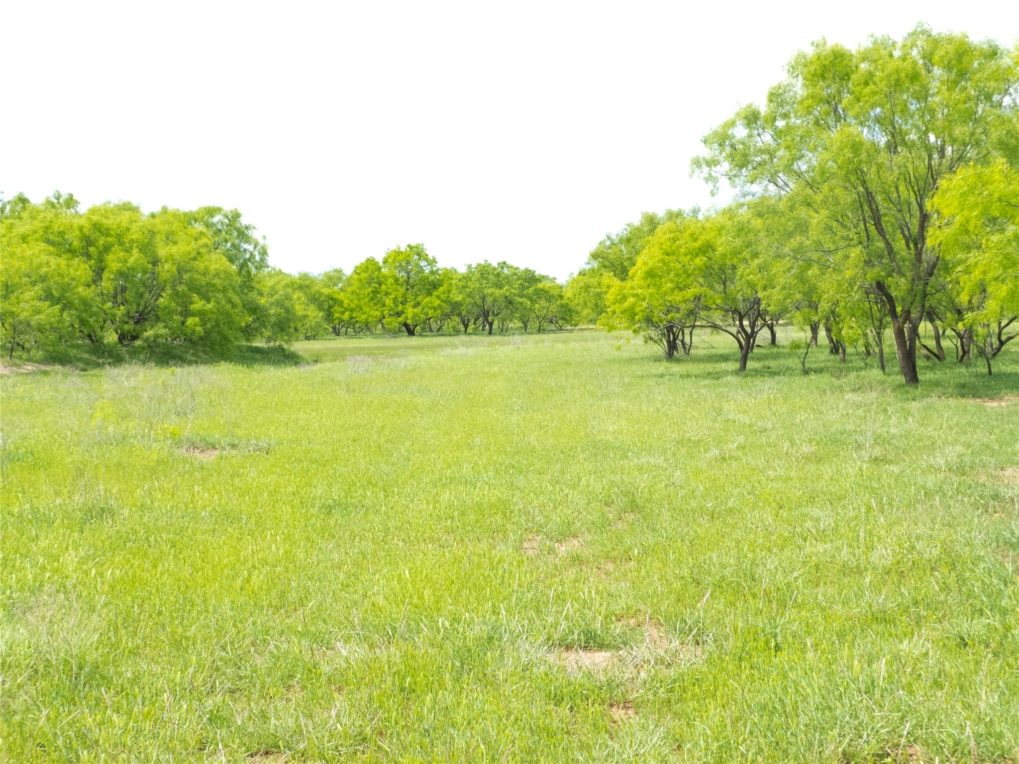 Tbd County Road 205 No City TX 76823