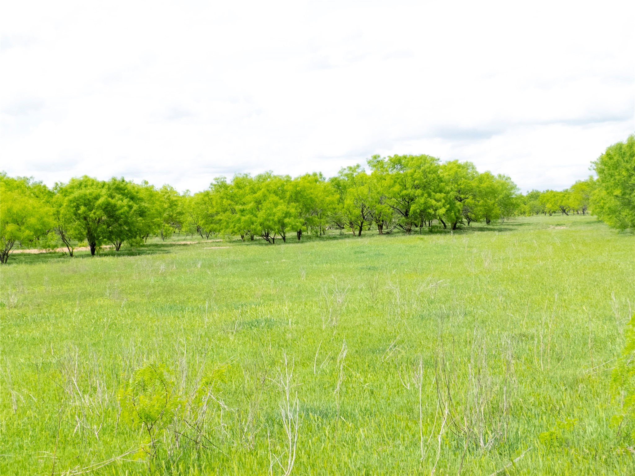 Tbd County Road 205 No City TX 76823