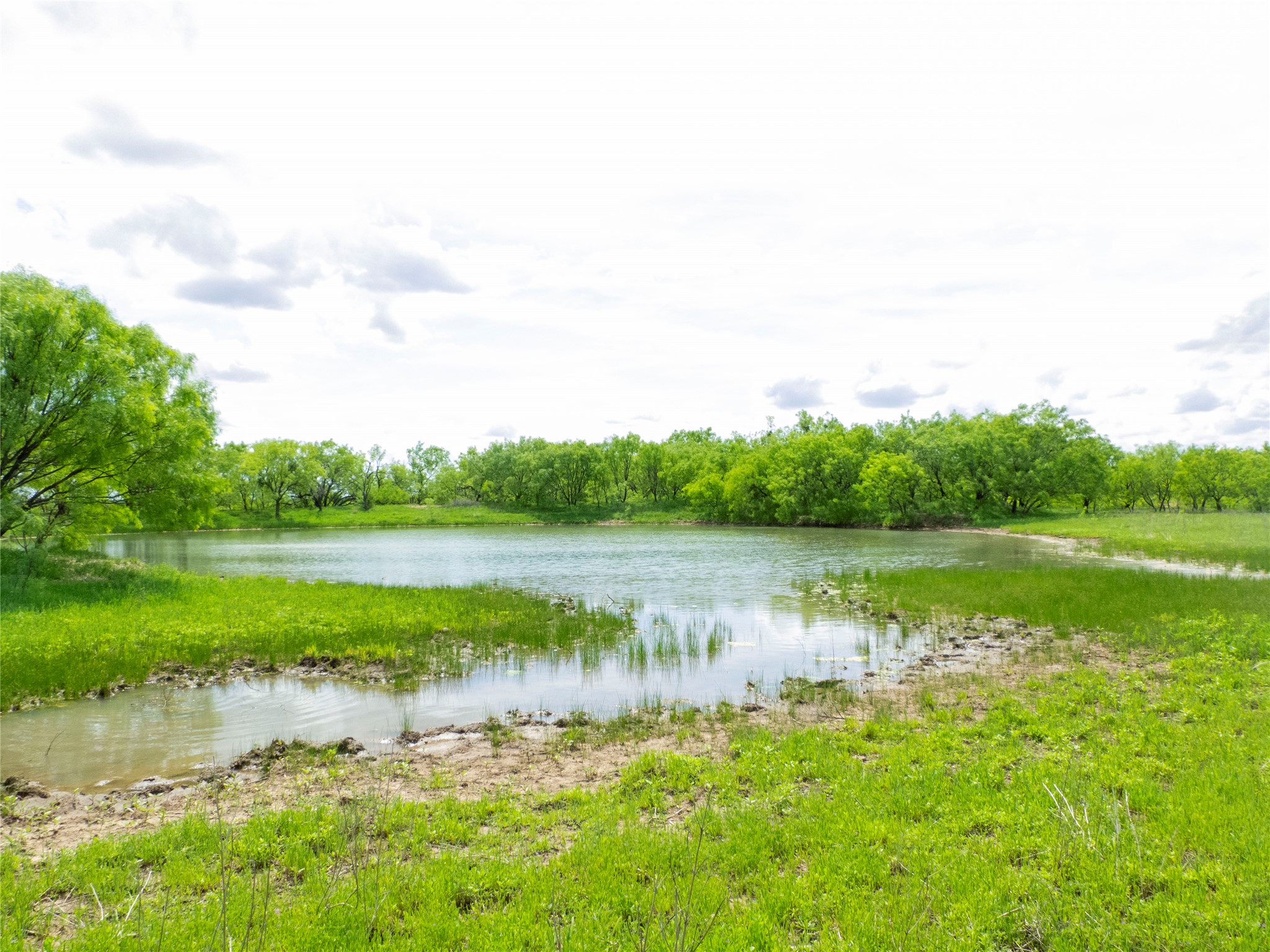 Tbd County Road 205 No City TX 76823