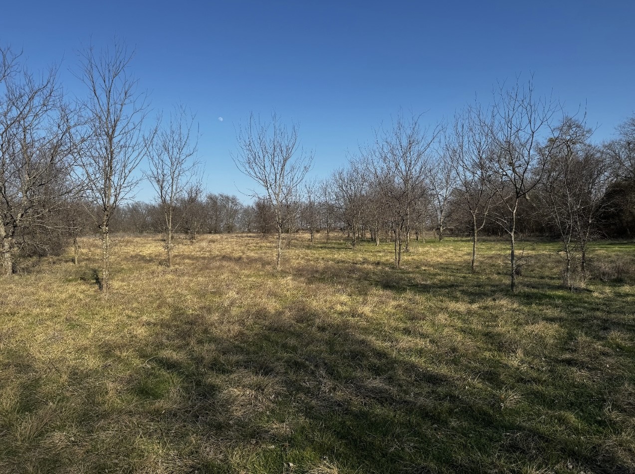586 Pleasant Home Road Sherman TX 75092