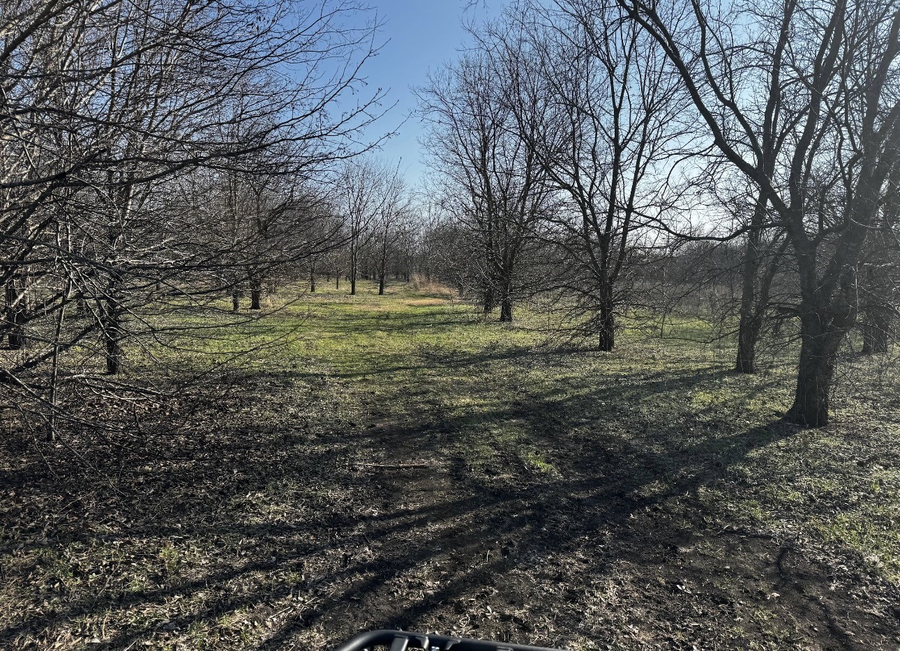 586 Pleasant Home Road Sherman TX 75092