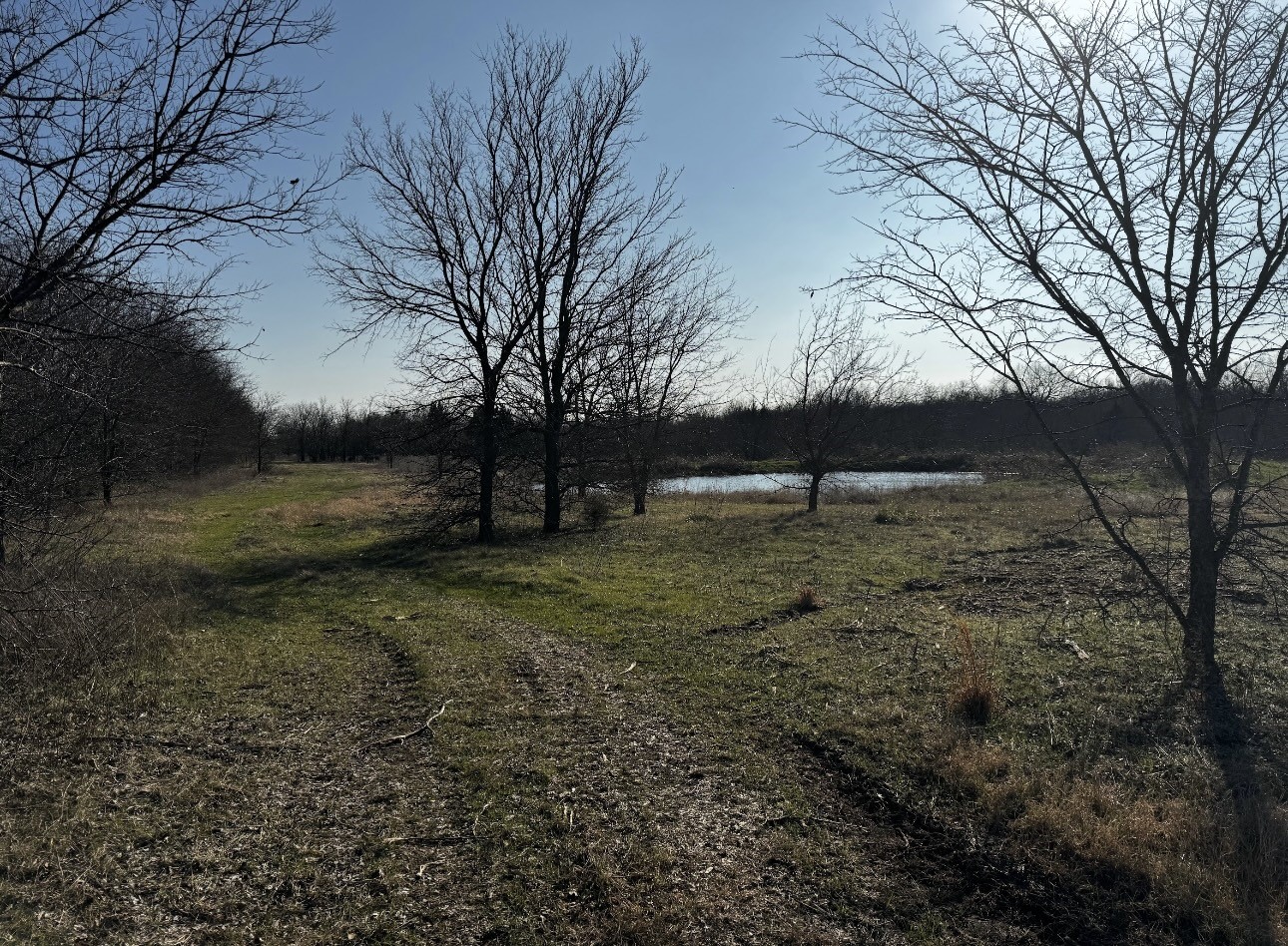 586 Pleasant Home Road Sherman TX 75092