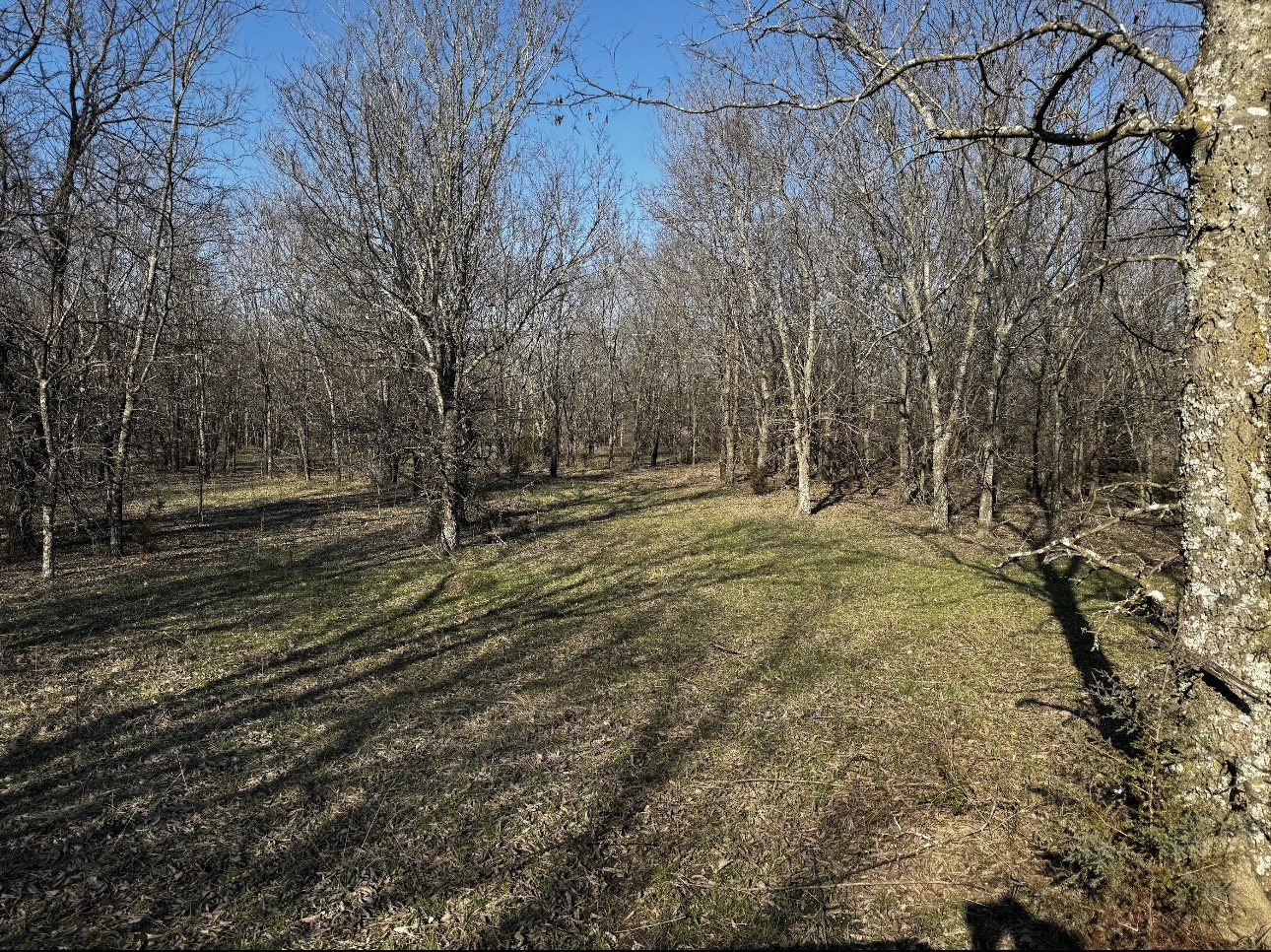 586 Pleasant Home Road Sherman TX 75092