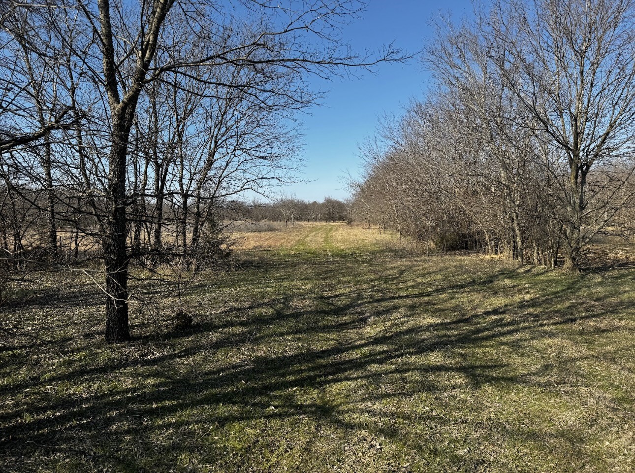 586 Pleasant Home Road Sherman TX 75092