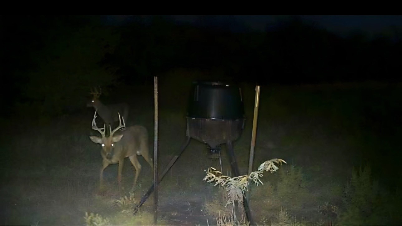 586 Pleasant Home Road Sherman TX 75092