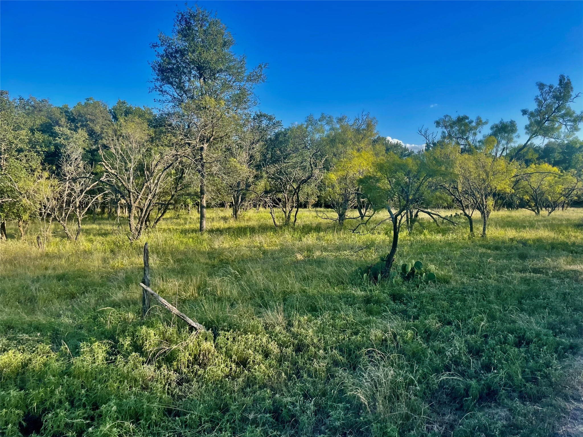Tbd Cr 244 Comanche TX 76442