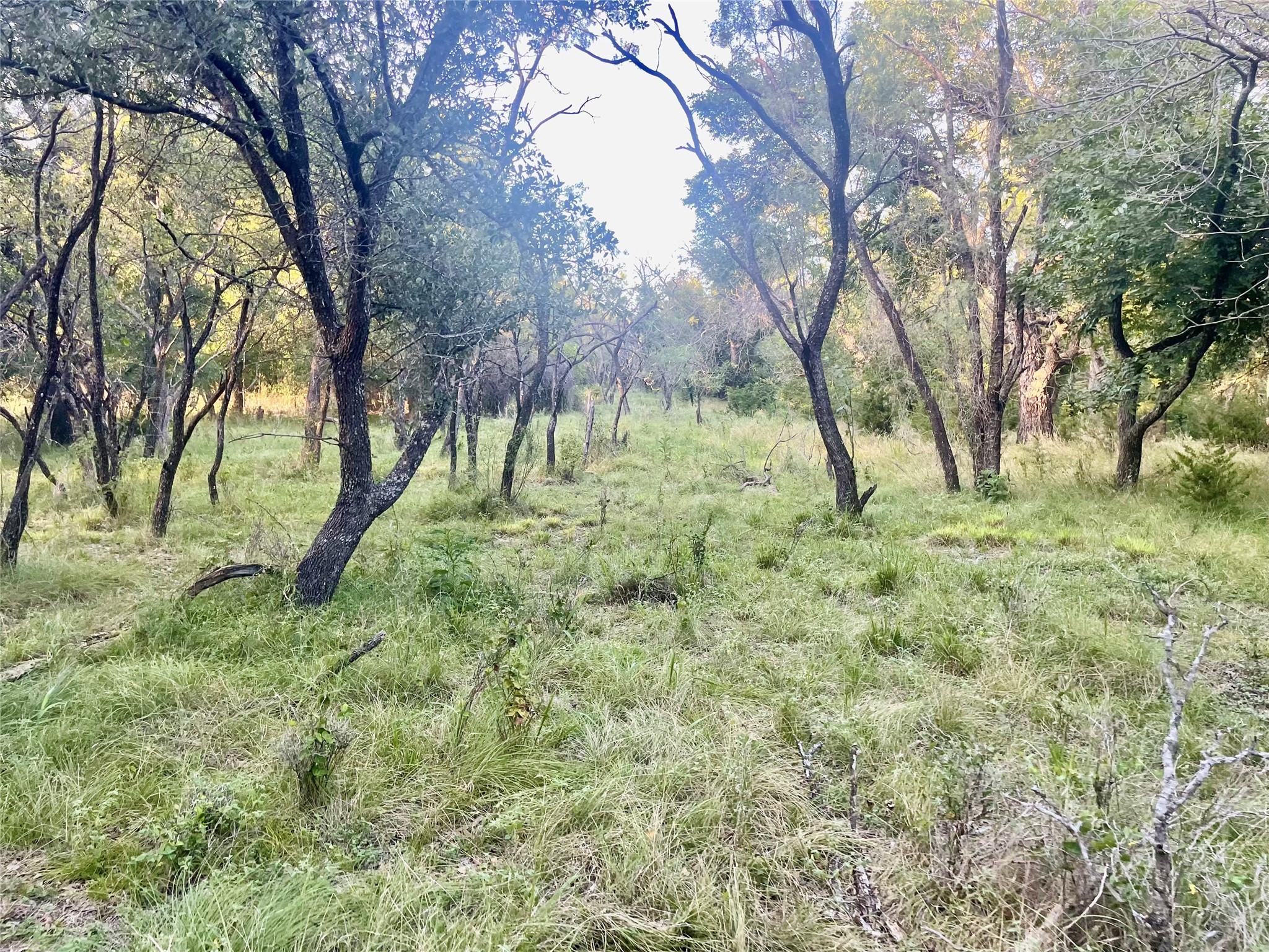 Tbd Cr 244 Comanche TX 76442