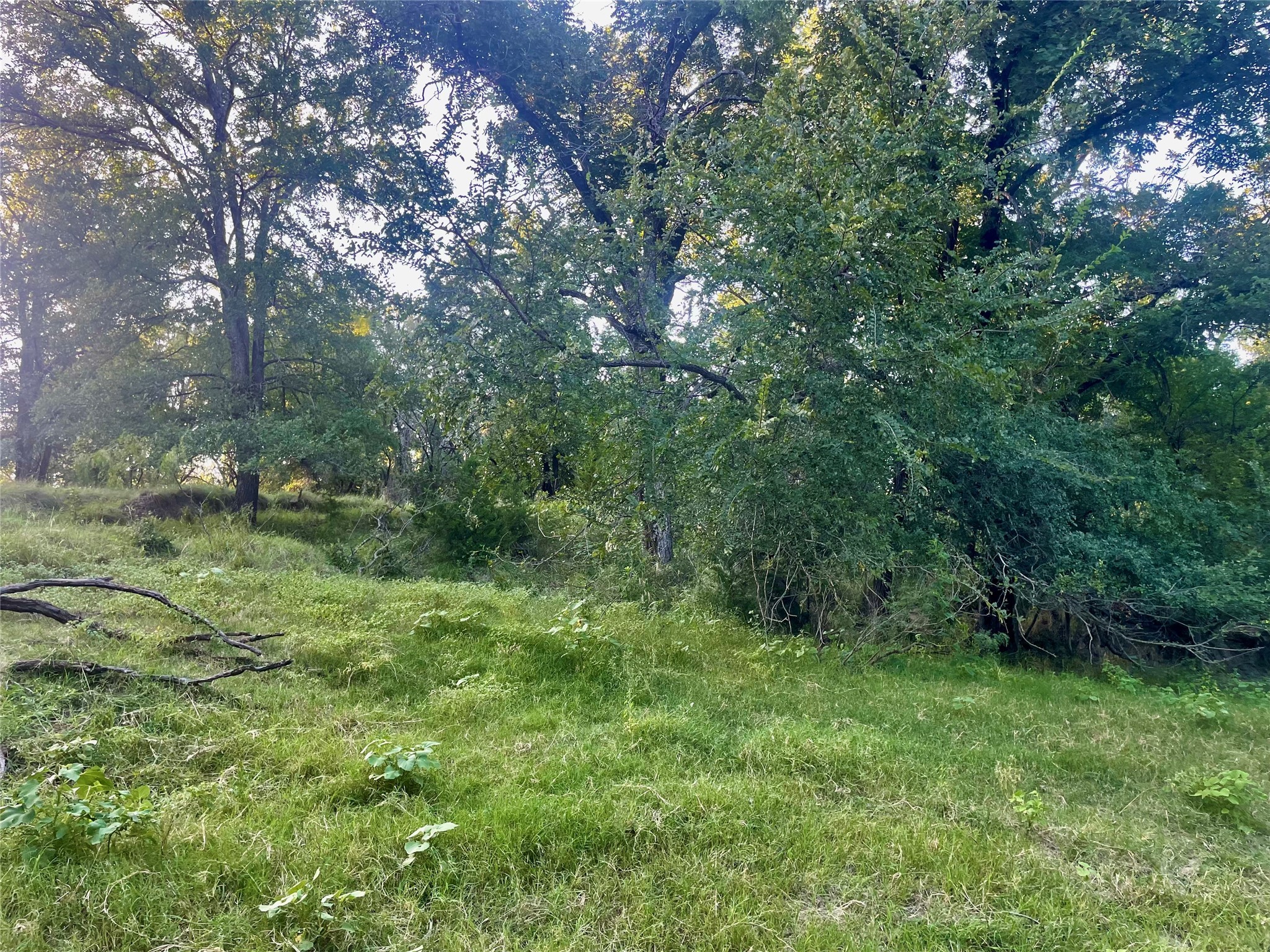 Tbd Cr 244 Comanche TX 76442