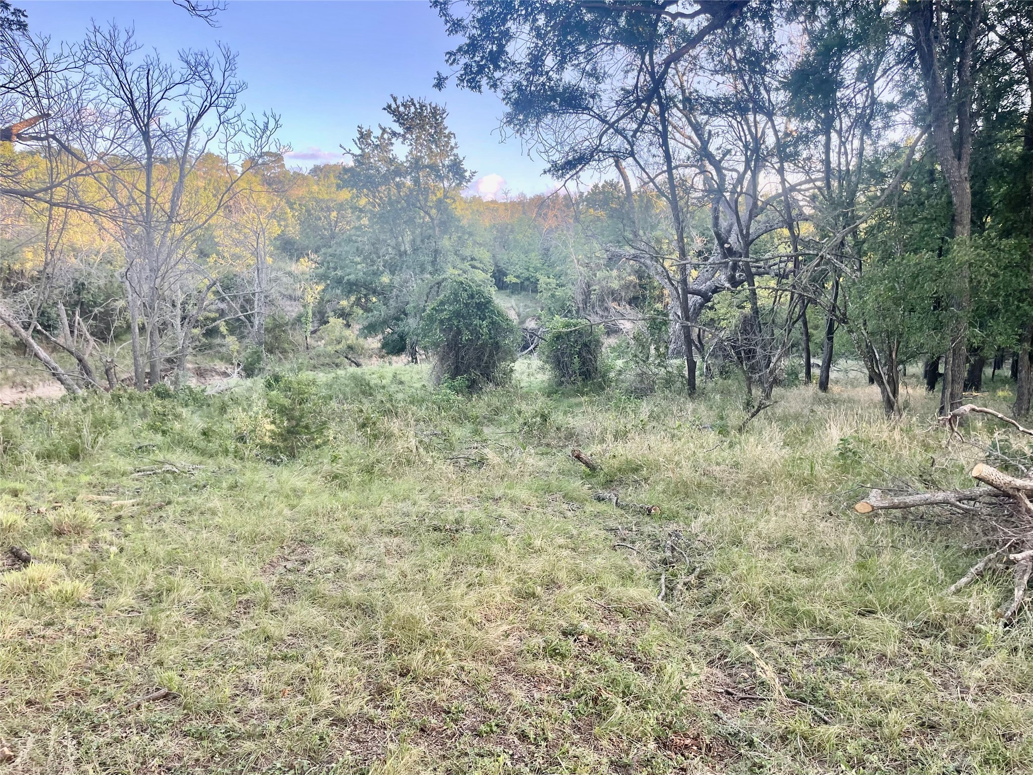 Tbd Cr 244 Comanche TX 76442