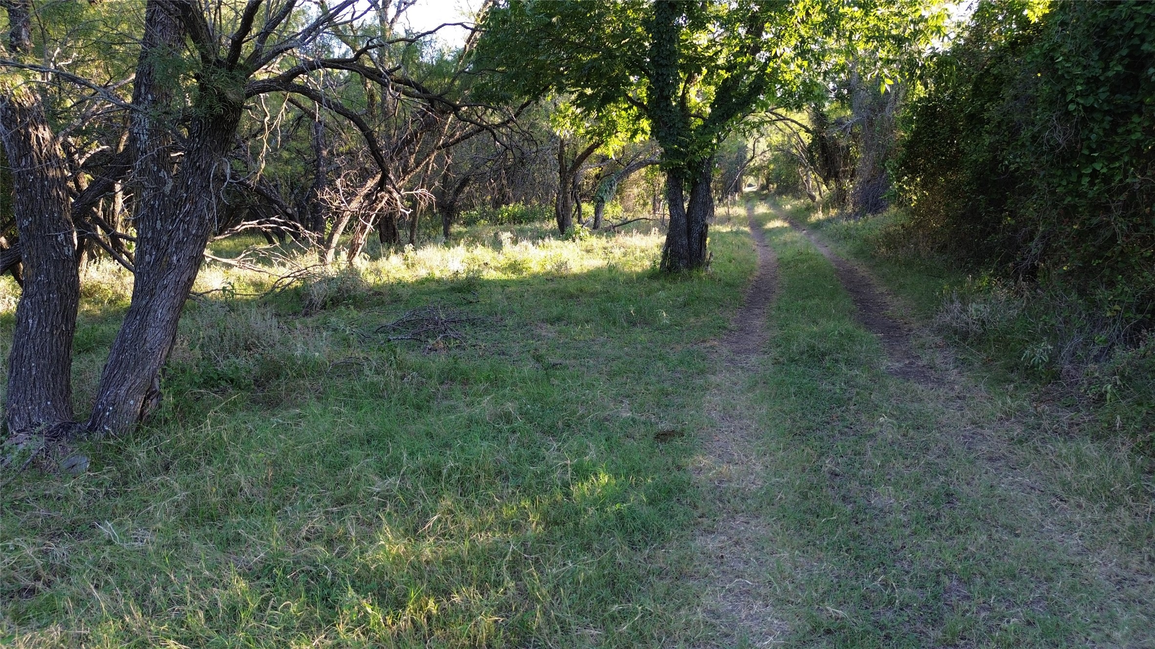 Tbd Cr 244 Comanche TX 76442