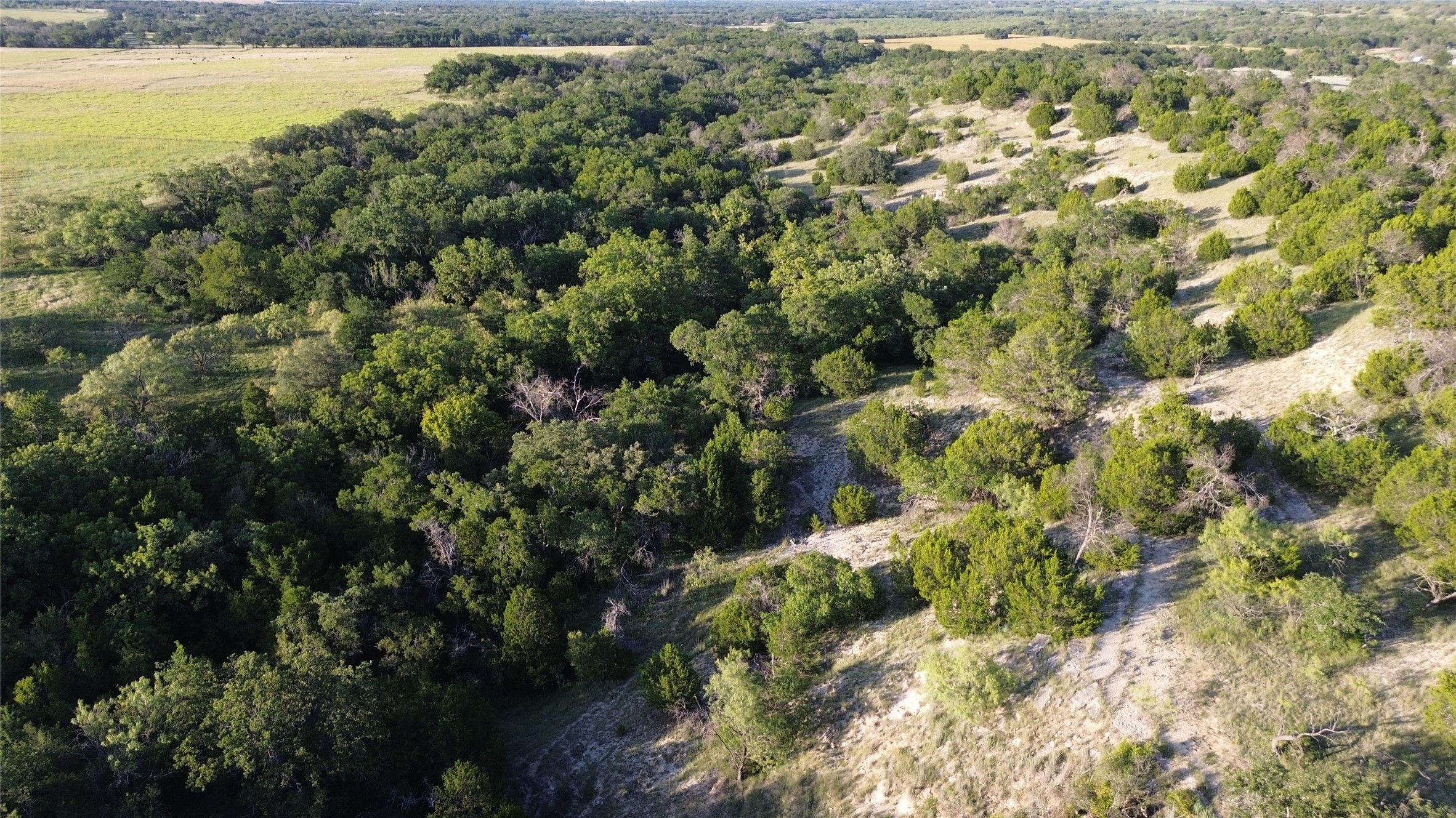 Tbd Cr 244 Comanche TX 76442