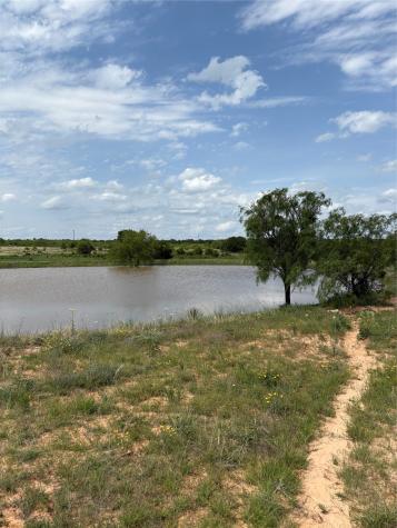 Tbd County Road 268 Tract B Rising Star TX 76471