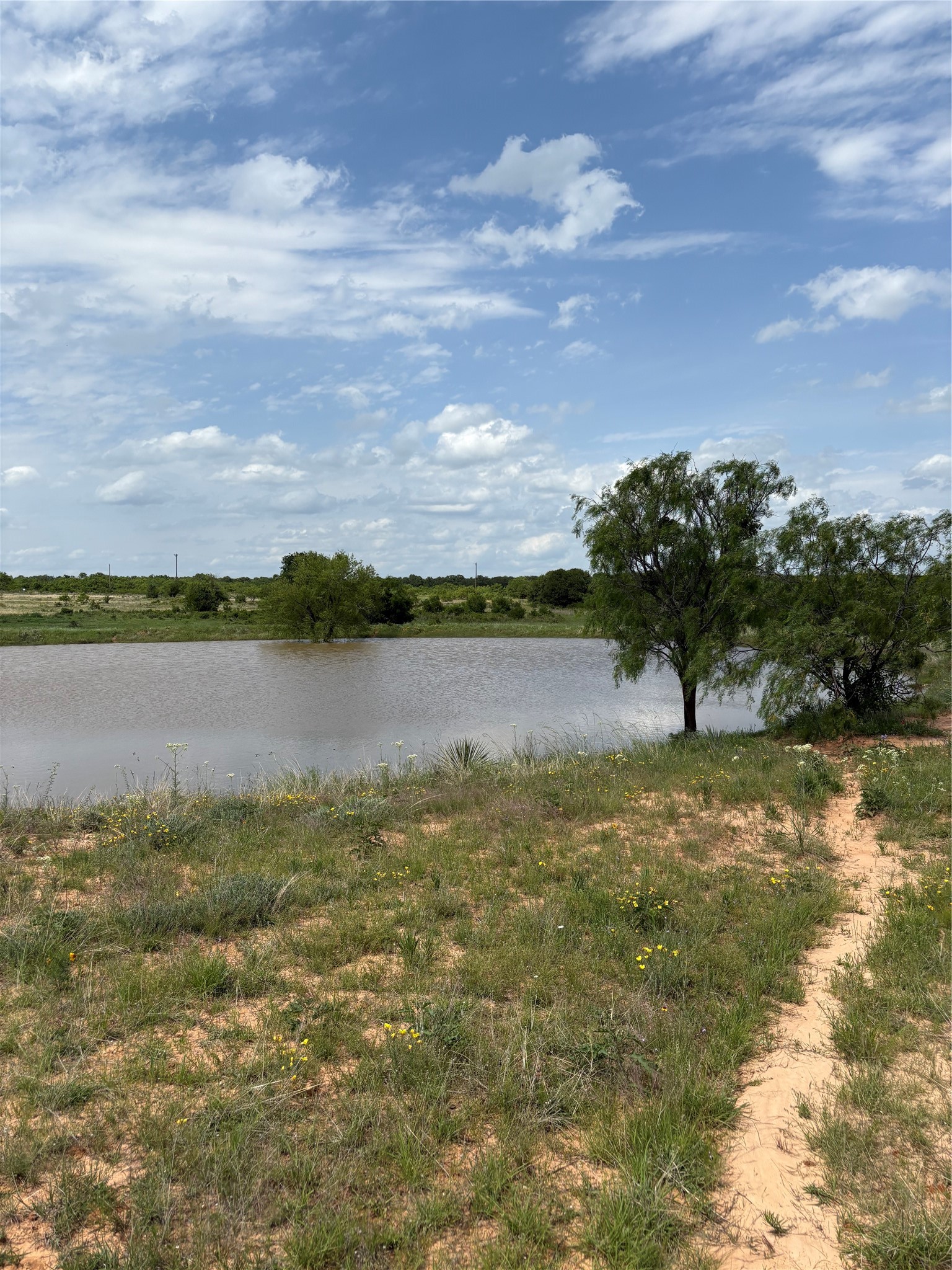 Tbd County Road 268 Tract B Rising Star TX 76471