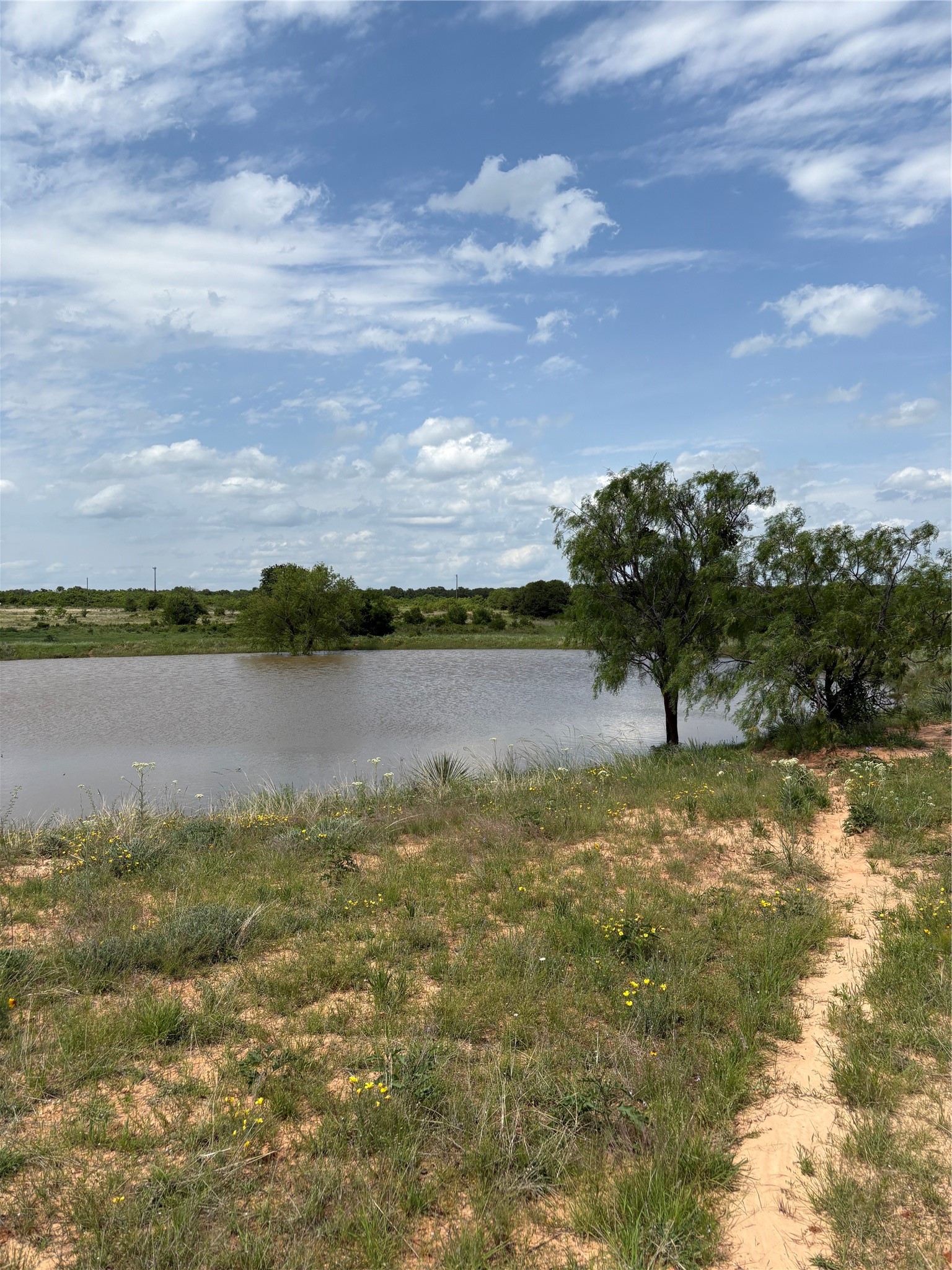 Tbd County Road 268 Tract B Rising Star TX 76471