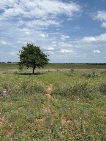 Tbd County Road 268 Tract B Rising Star TX 76471