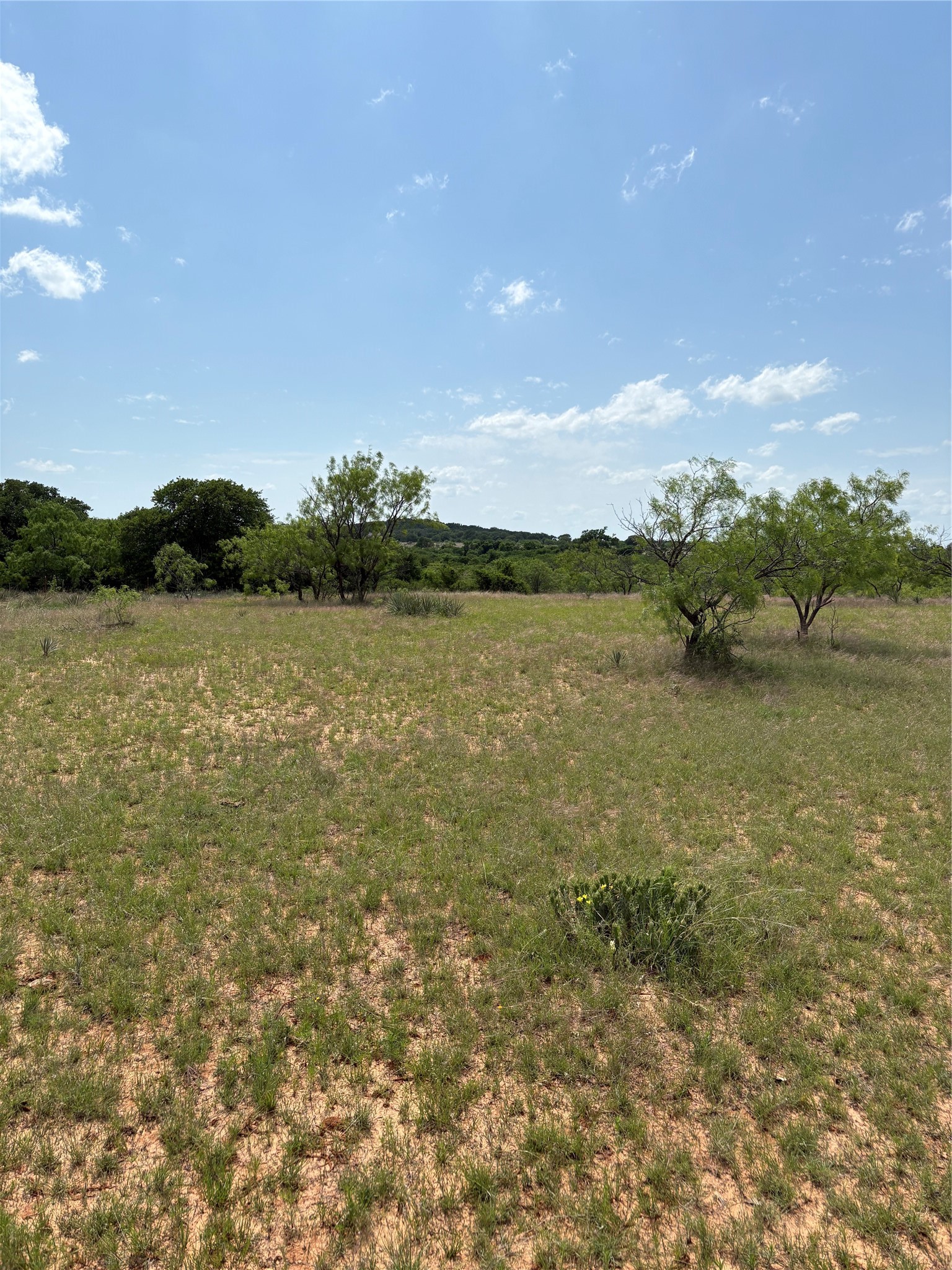 Tbd County Road 268 Tract B Rising Star TX 76471