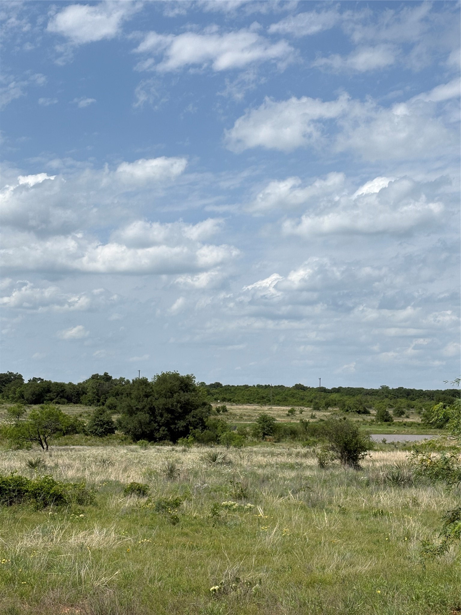 Tbd County Road 268 Tract B Rising Star TX 76471