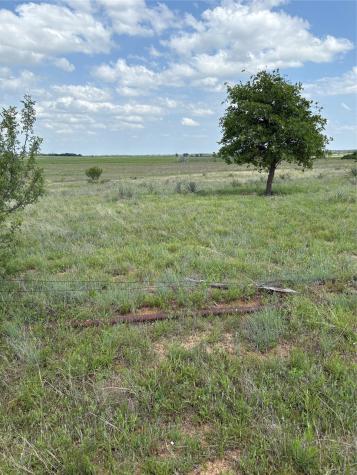 Tbd County Road 268 Tract B Rising Star TX 76471