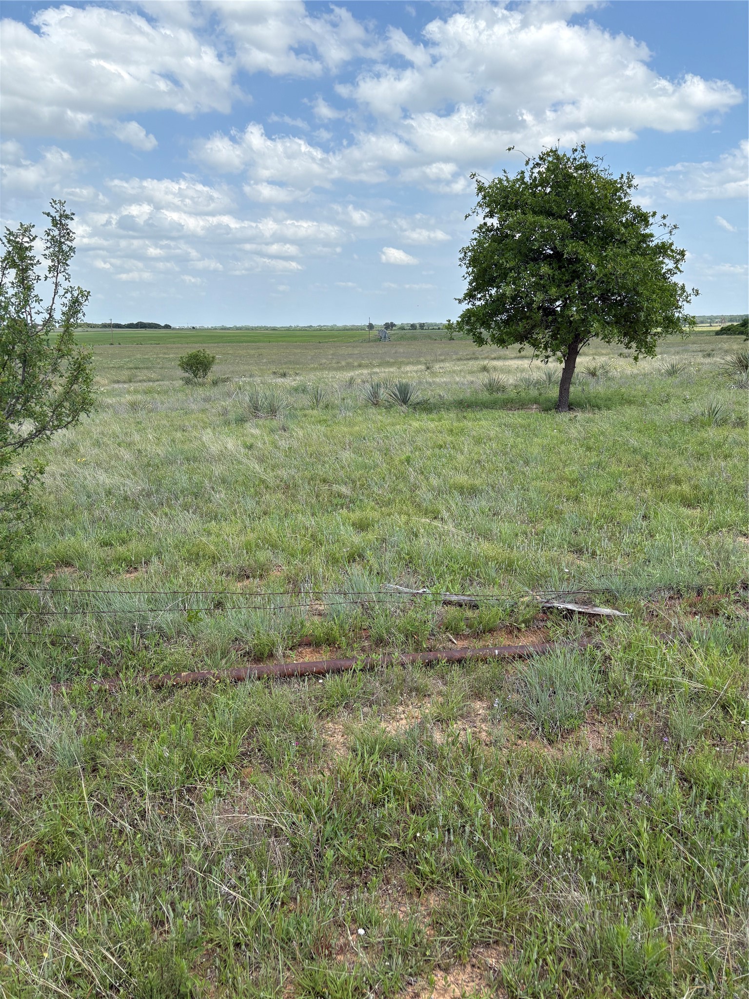 Tbd County Road 268 Tract B Rising Star TX 76471
