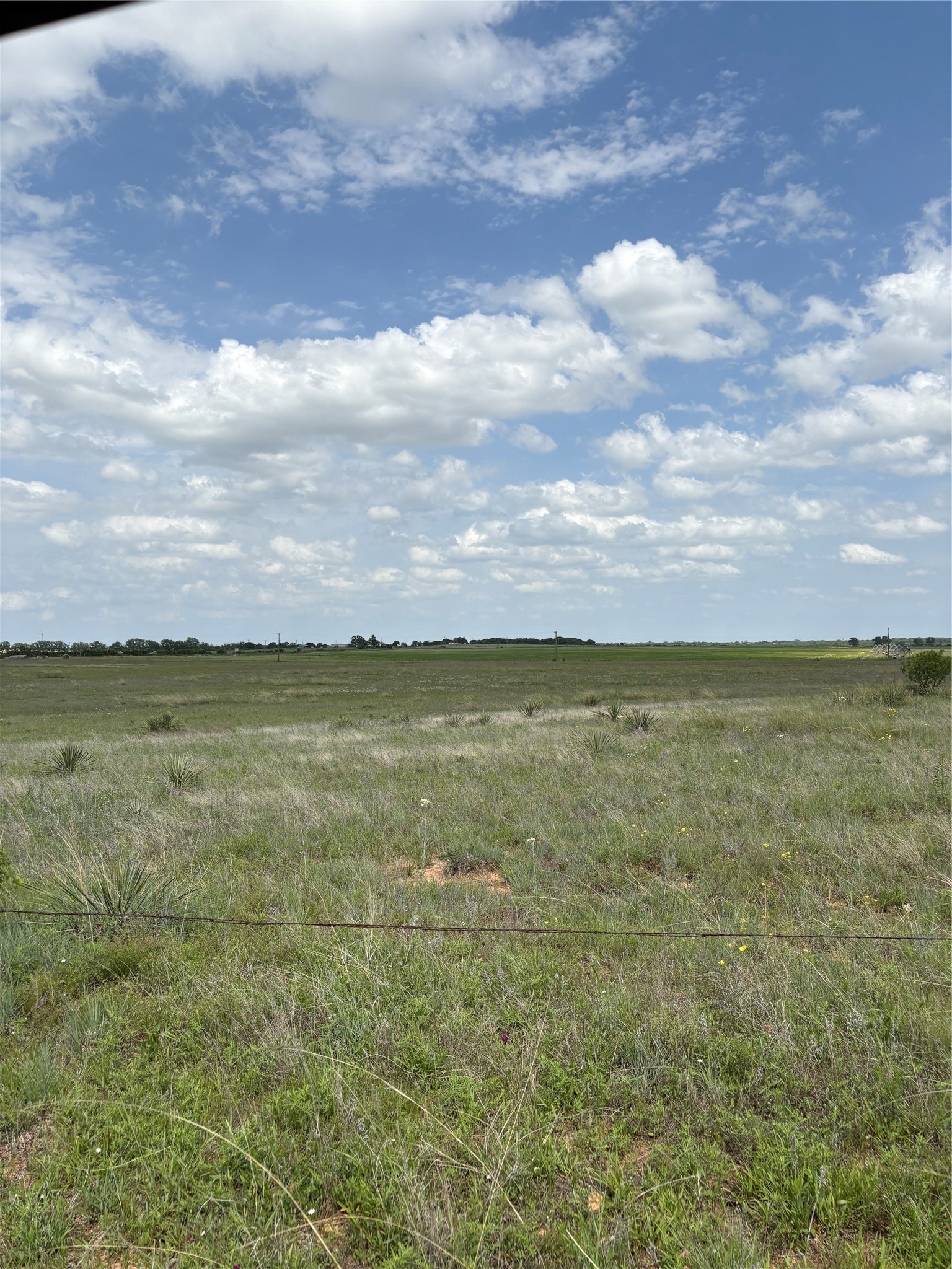 Tbd County Road 268 Tract B Rising Star TX 76471