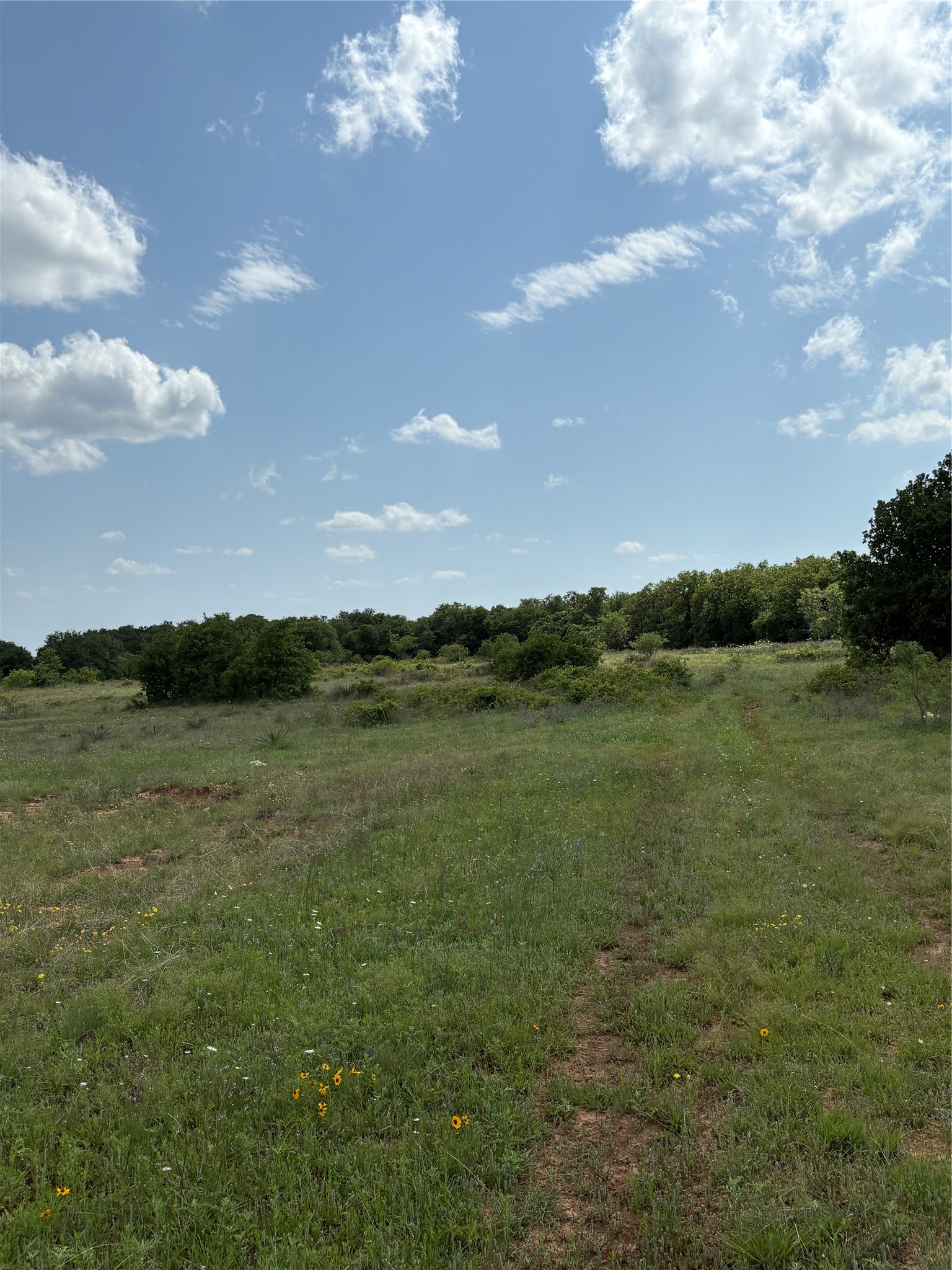Tbd County Road 268 Tract B Rising Star TX 76471