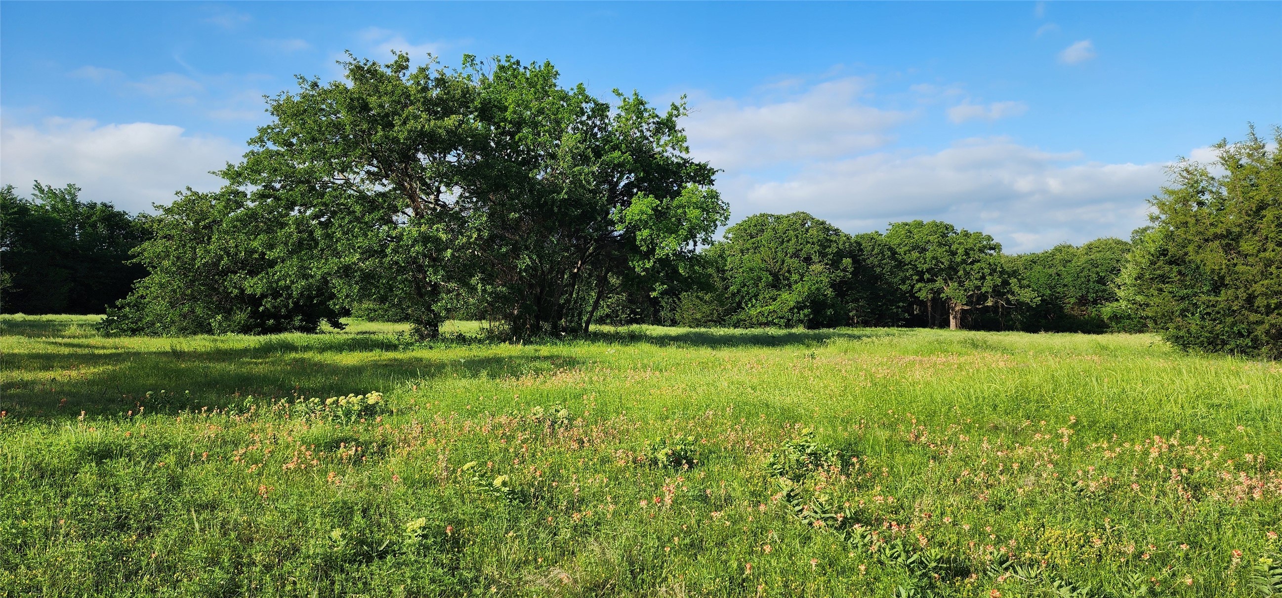 0000 Turner Road Cross Roads TX 76227