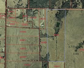 Tbd County Road 3207 Lone Oak TX 75453