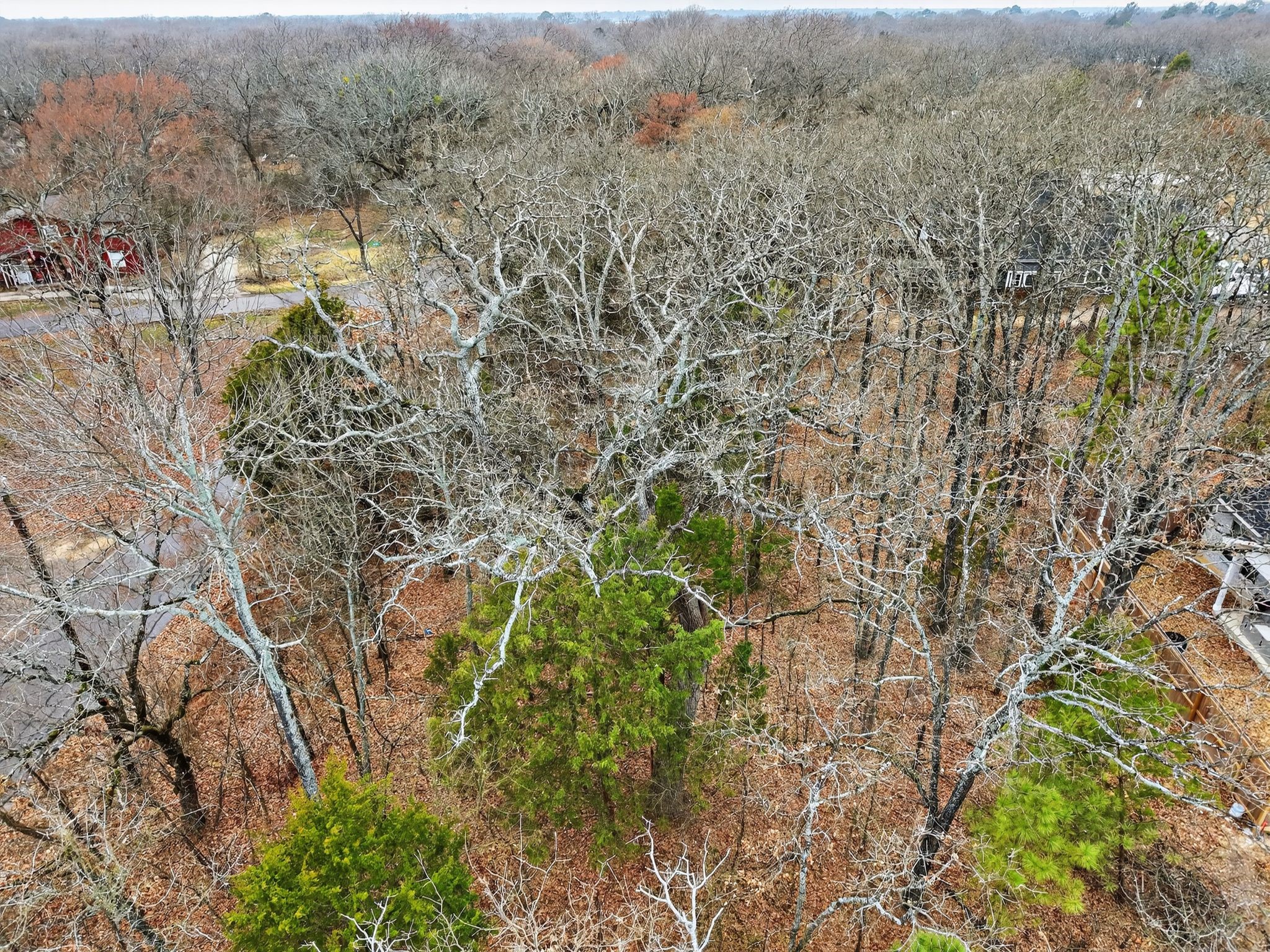 Lots 710, 711 Granada Street Payne Springs TX 75156