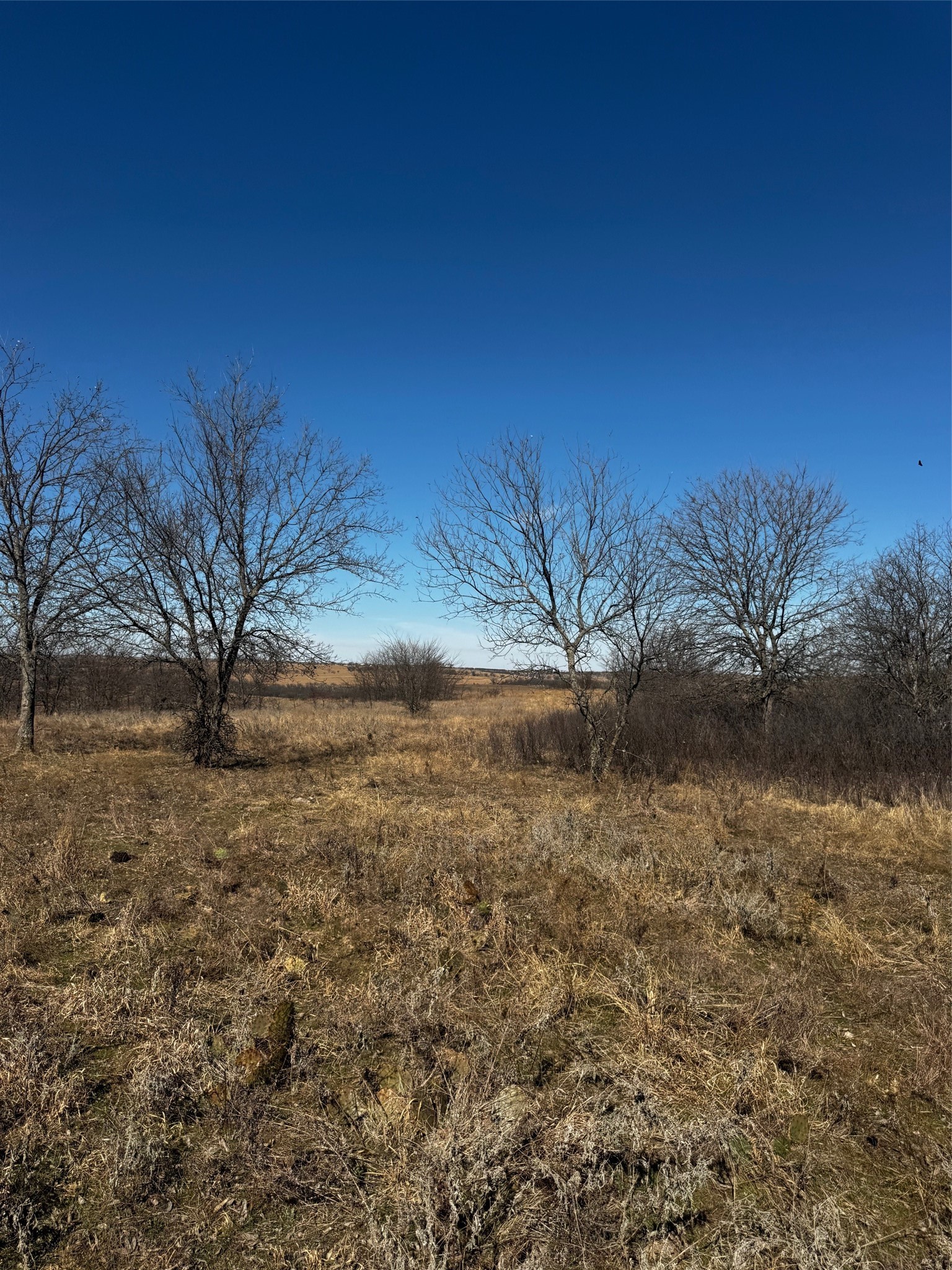 0000 County Road 4522 Decatur TX 76234