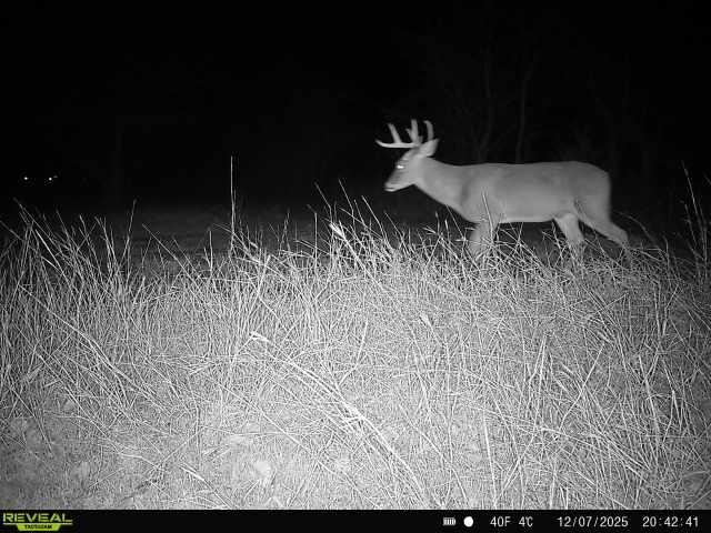 0000 County Road 4522 Decatur TX 76234