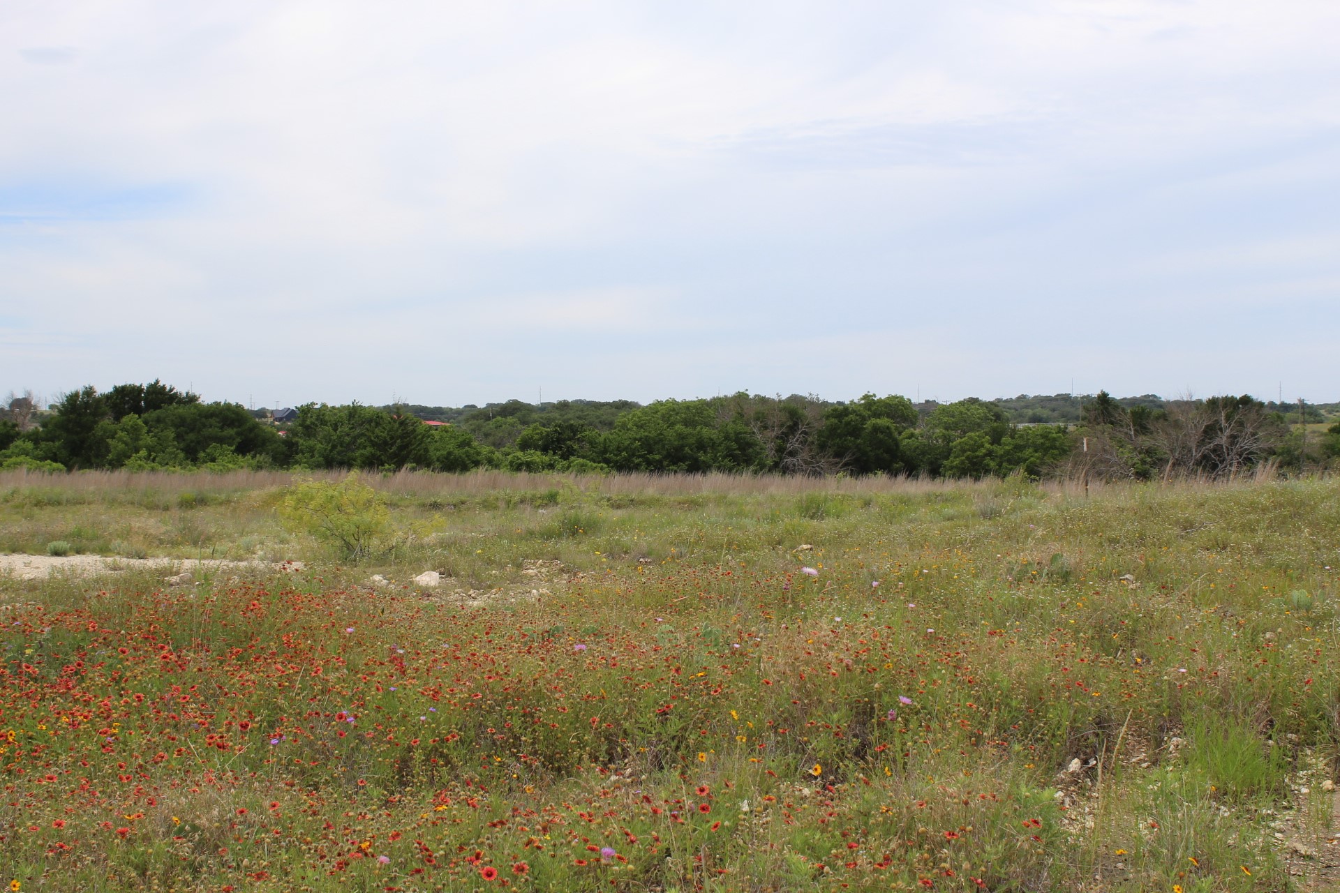 Lot 68 Mason Court Dublin TX 76446