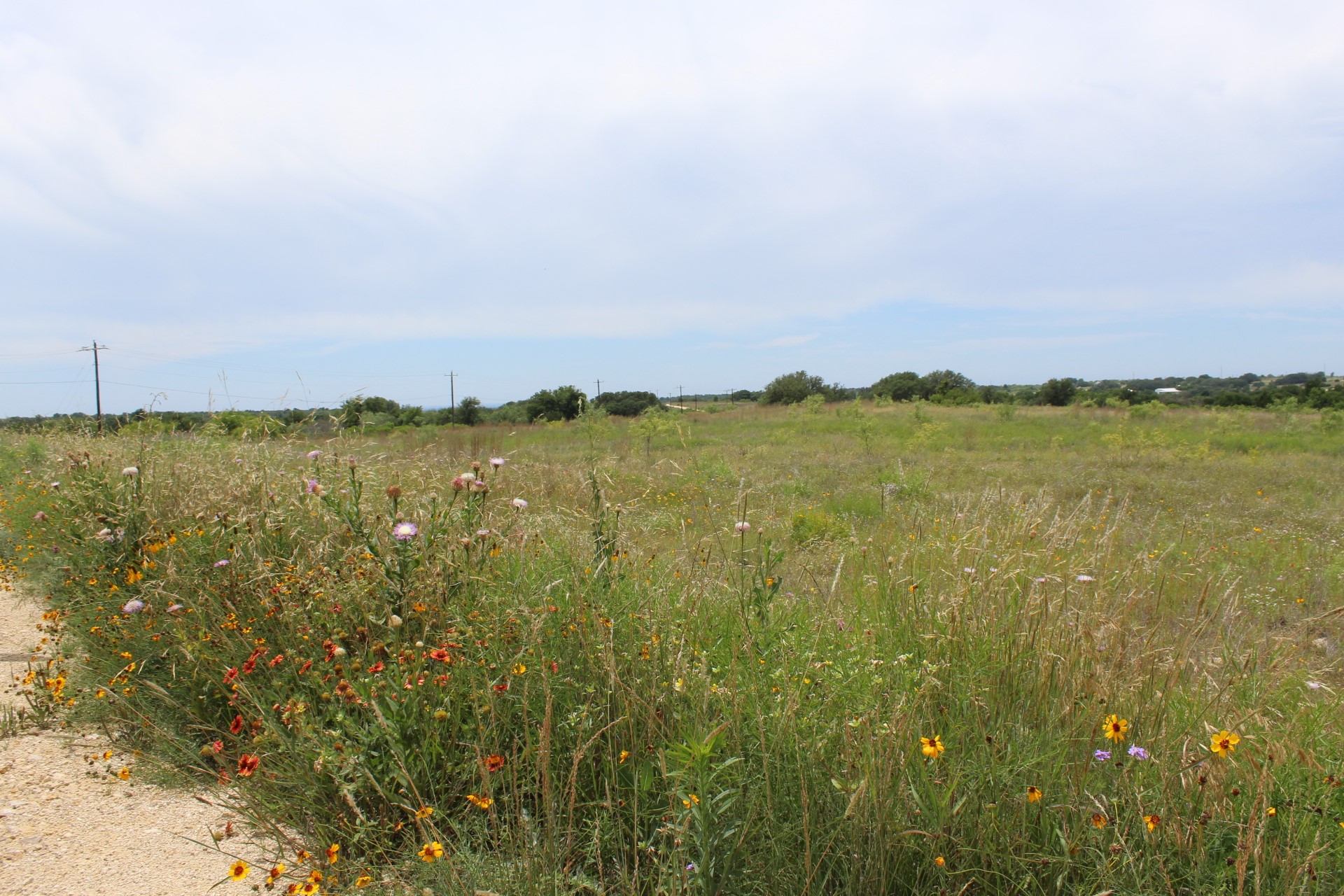 Lot 68 Mason Court Dublin TX 76446