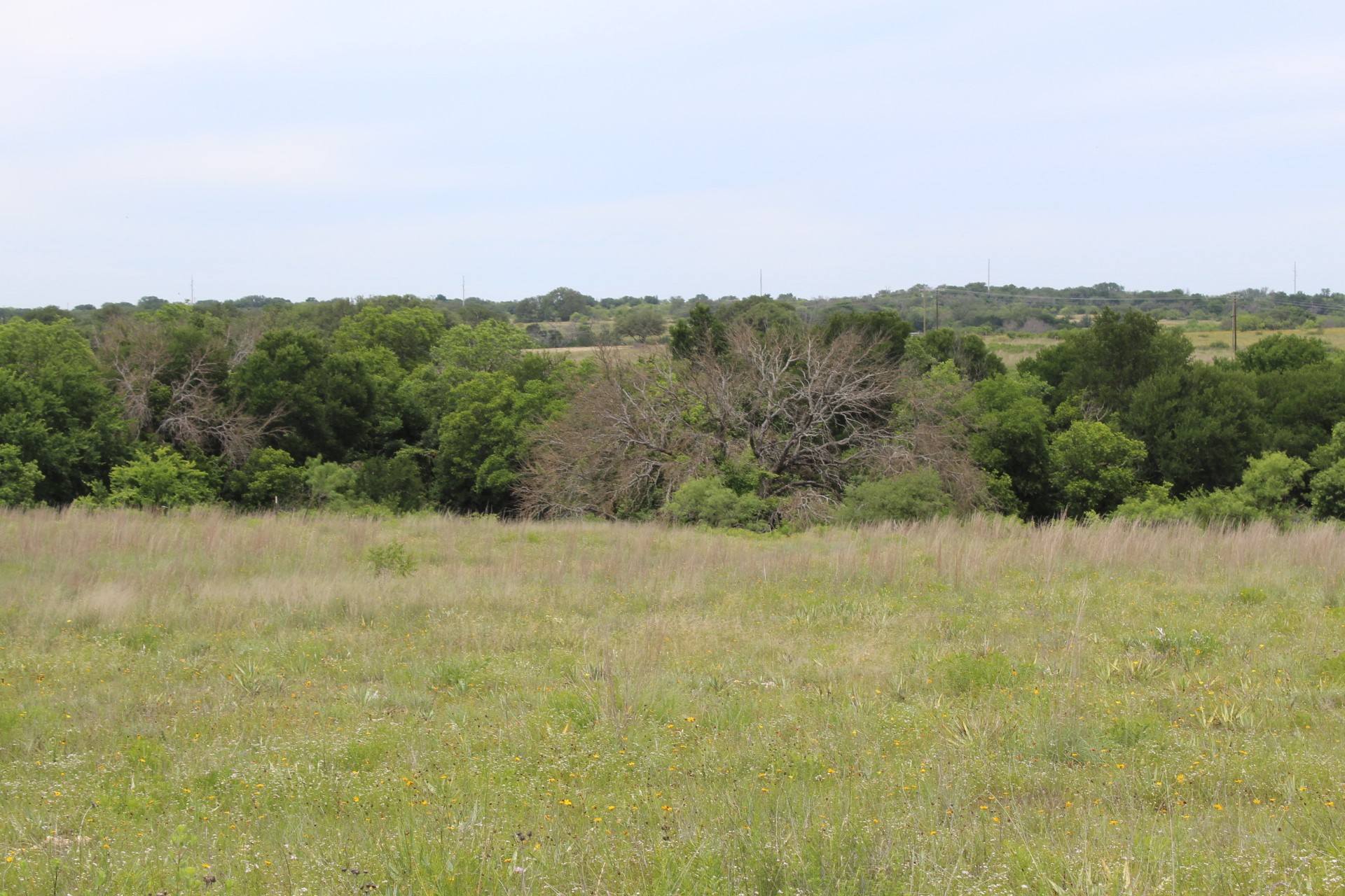 Lot 68 Mason Court Dublin TX 76446