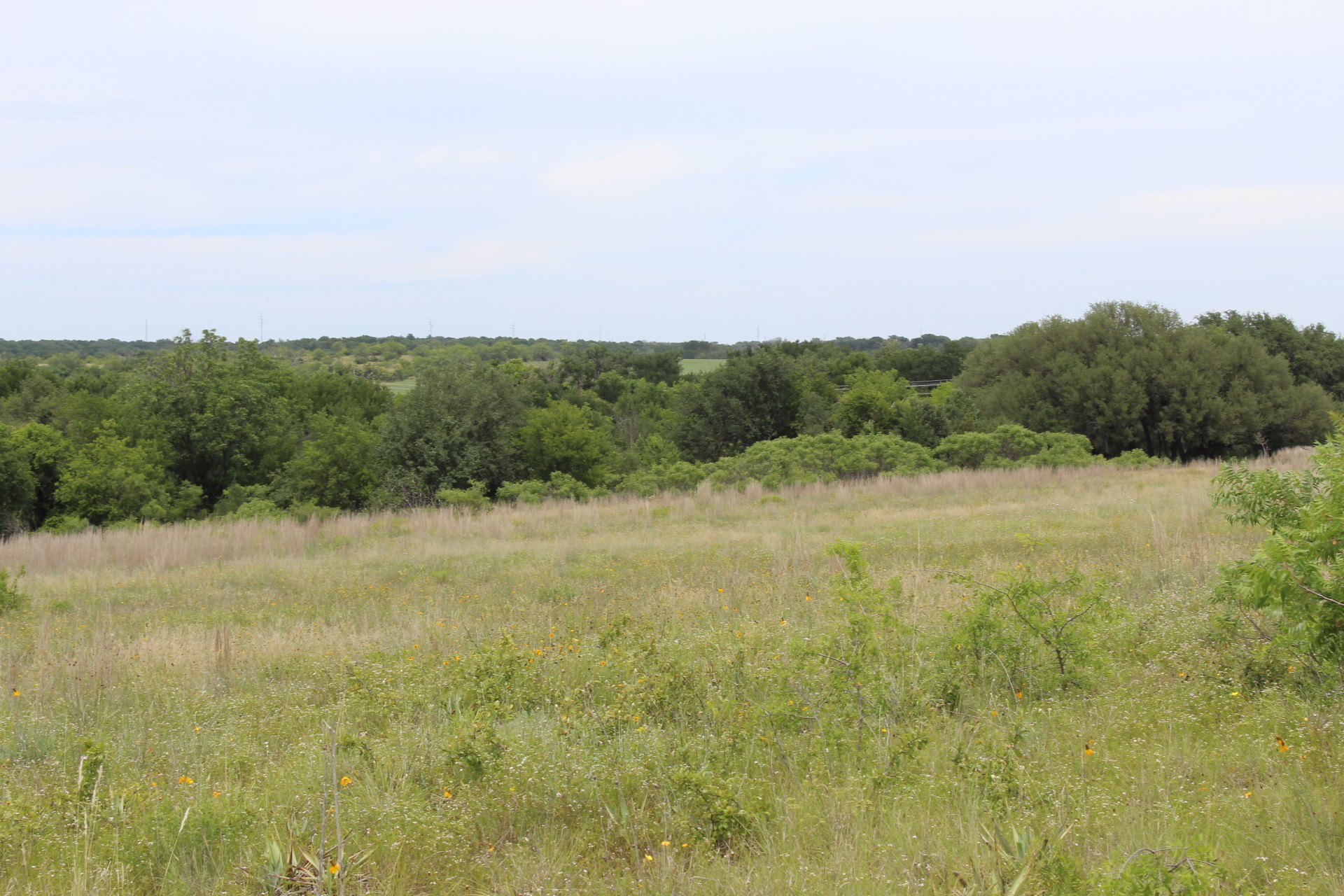 Lot 68 Mason Court Dublin TX 76446