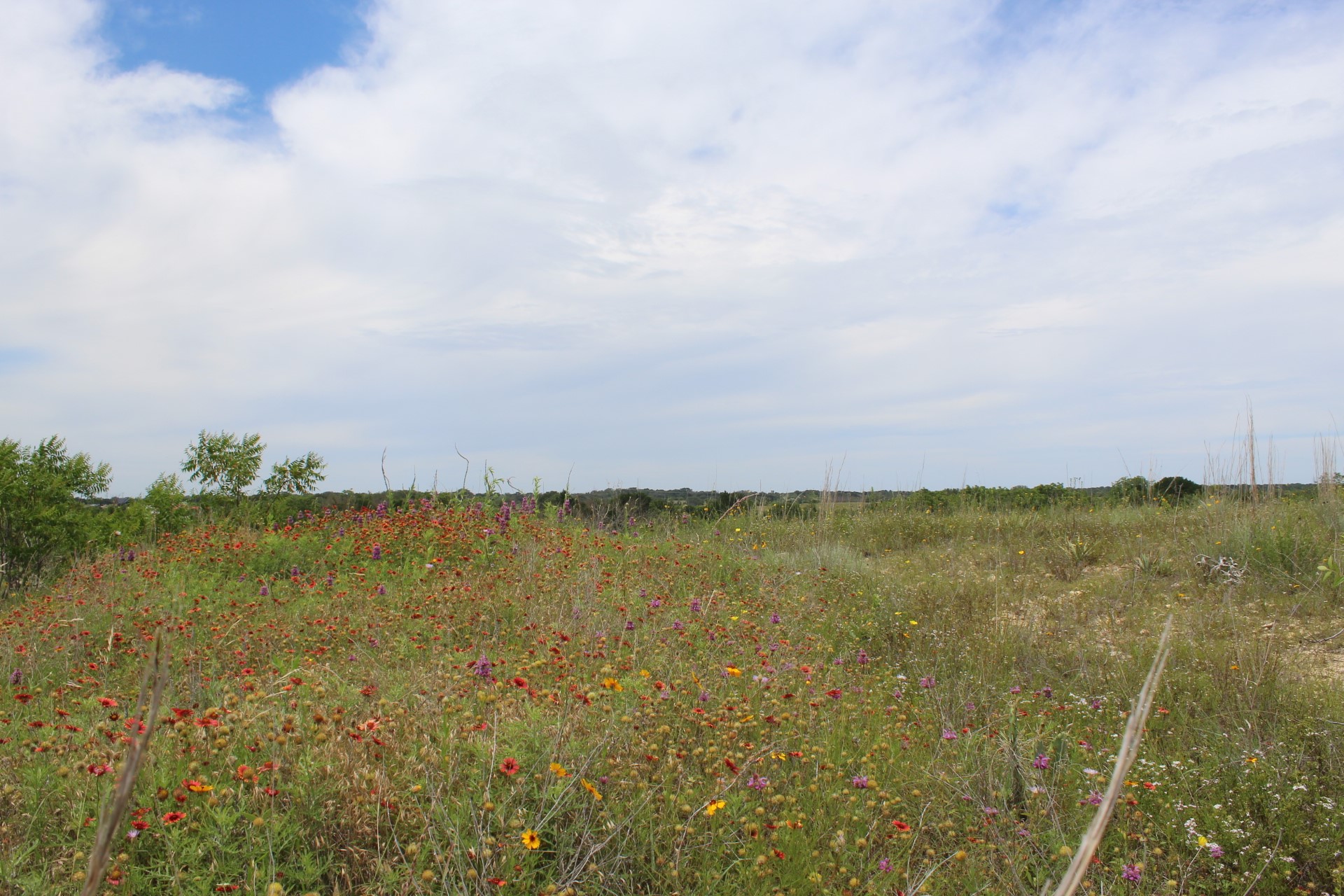 Lot 68 Mason Court Dublin TX 76446