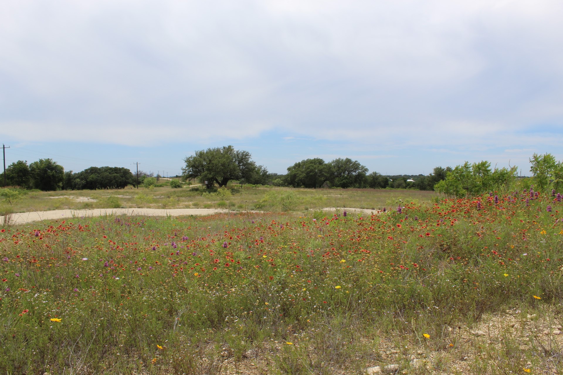 Lot 68 Mason Court Dublin TX 76446