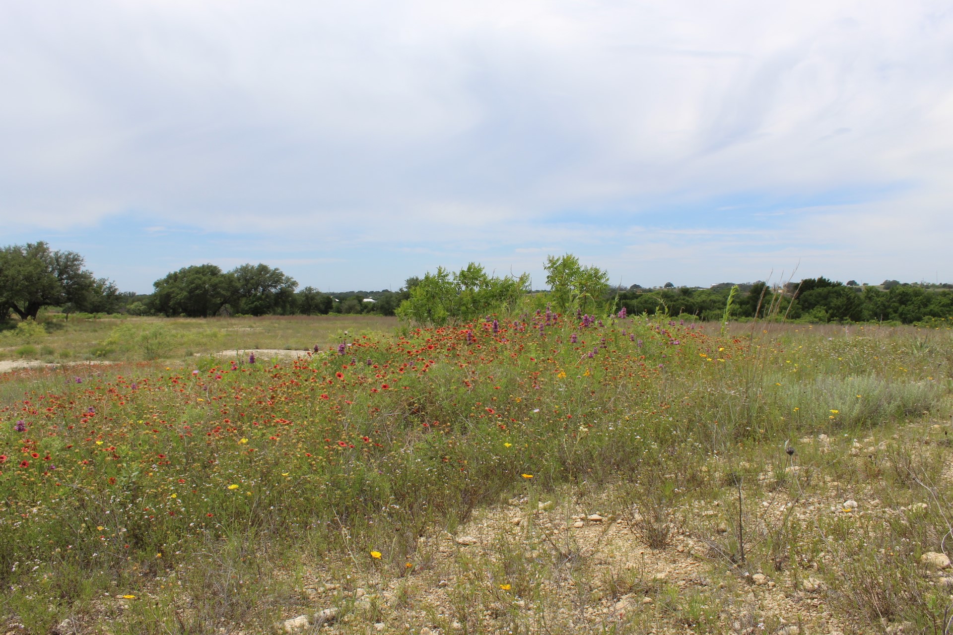 Lot 68 Mason Court Dublin TX 76446