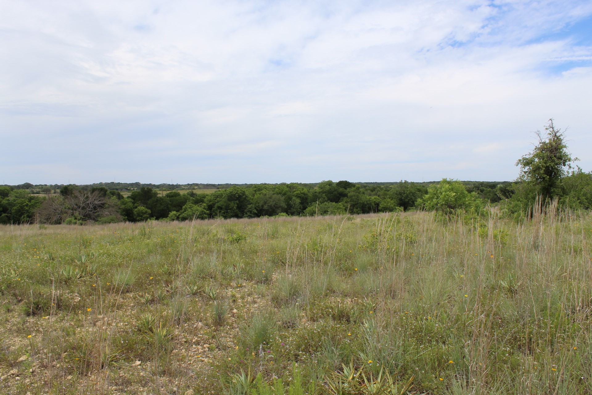 Lot 68 Mason Court Dublin TX 76446