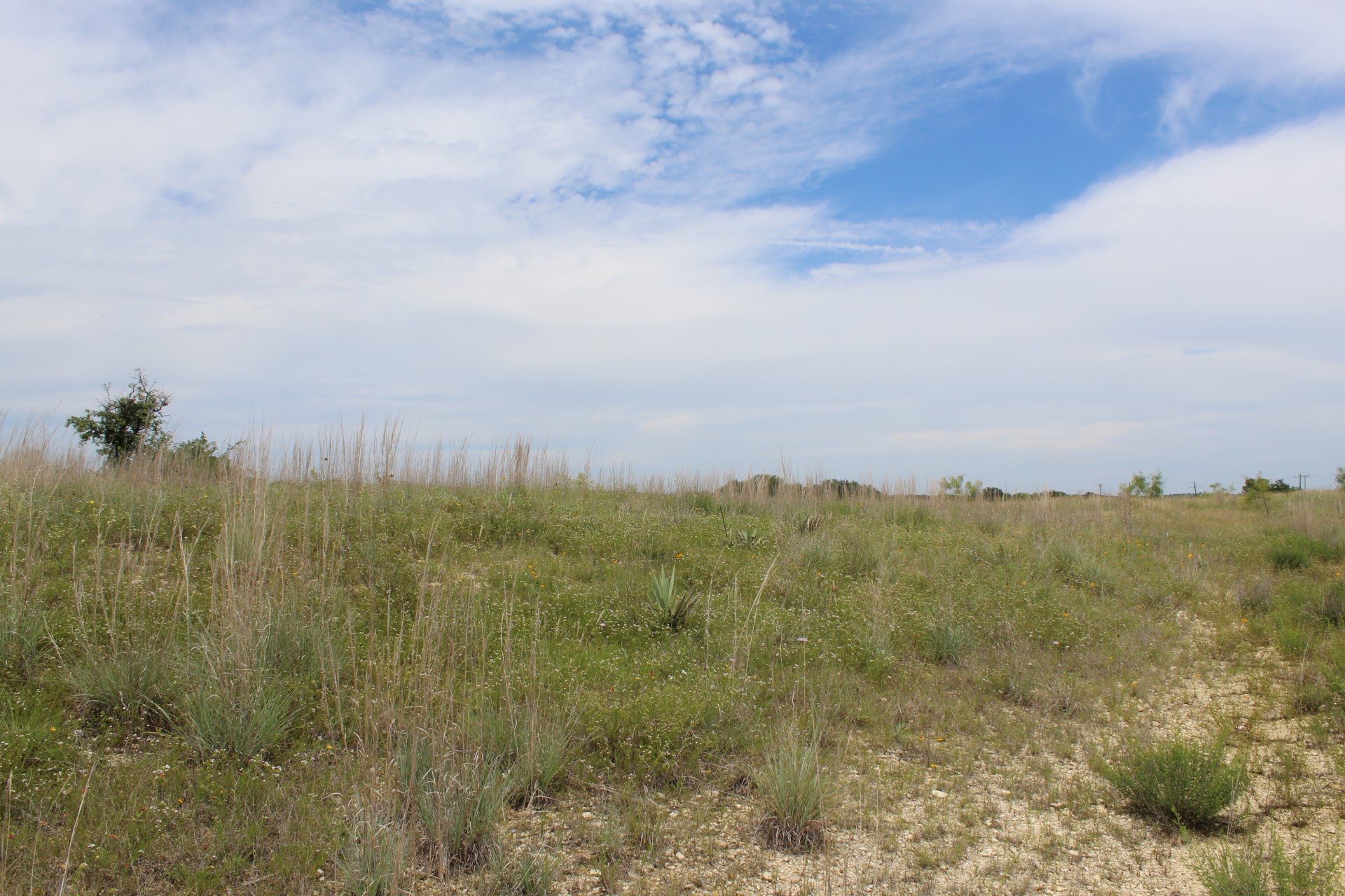 Lot 68 Mason Court Dublin TX 76446