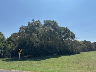 1017 White Bluff Drive Whitney TX 76692